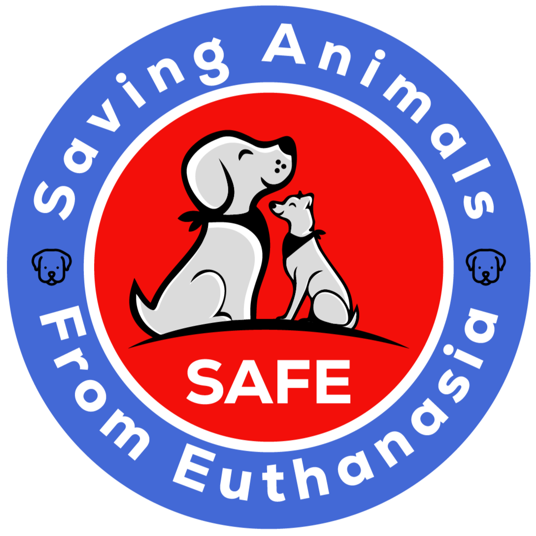 SAFE