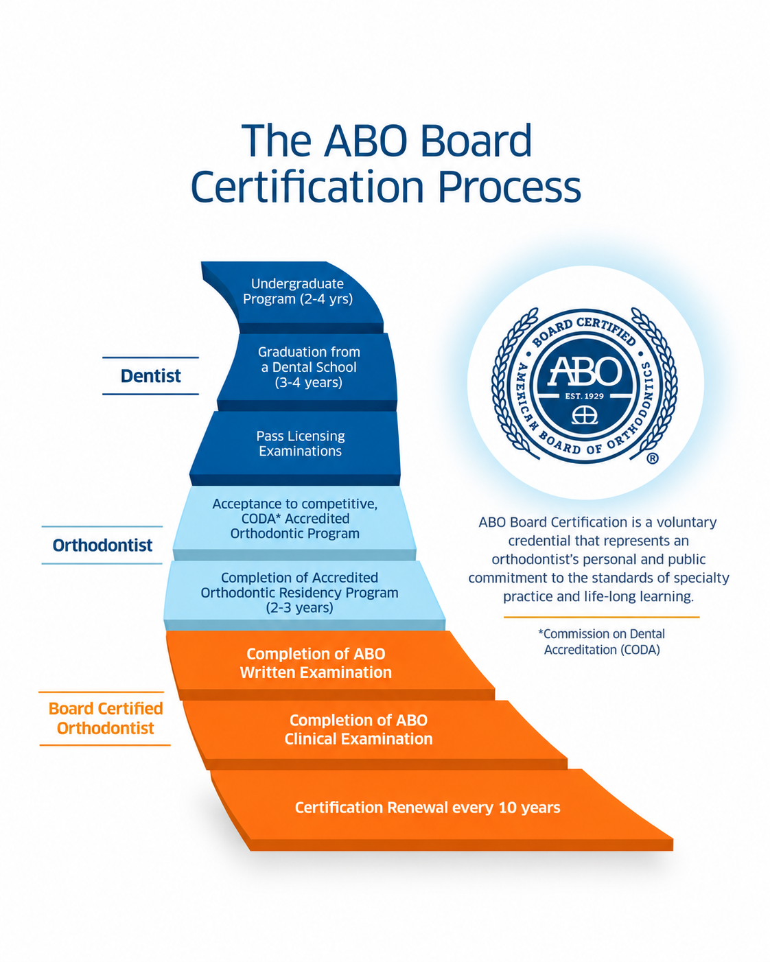 Infographic showing the American Board of Orthodontics certification process from undergraduate education and dental school through orthodontic residency, ABO written and clinical exams, and certification renewal every 10 years.