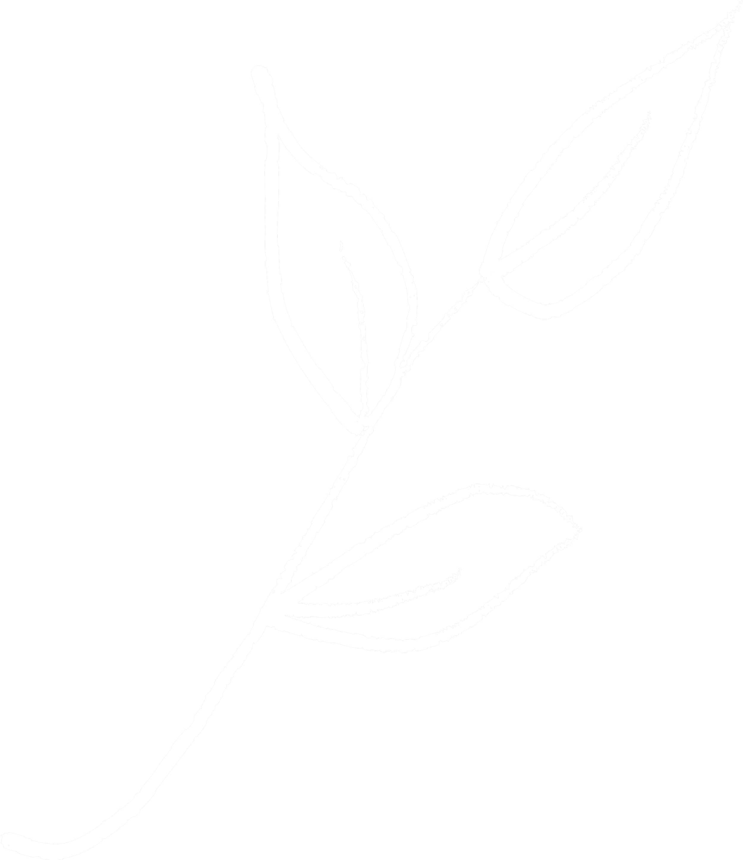 Small brown Leaf