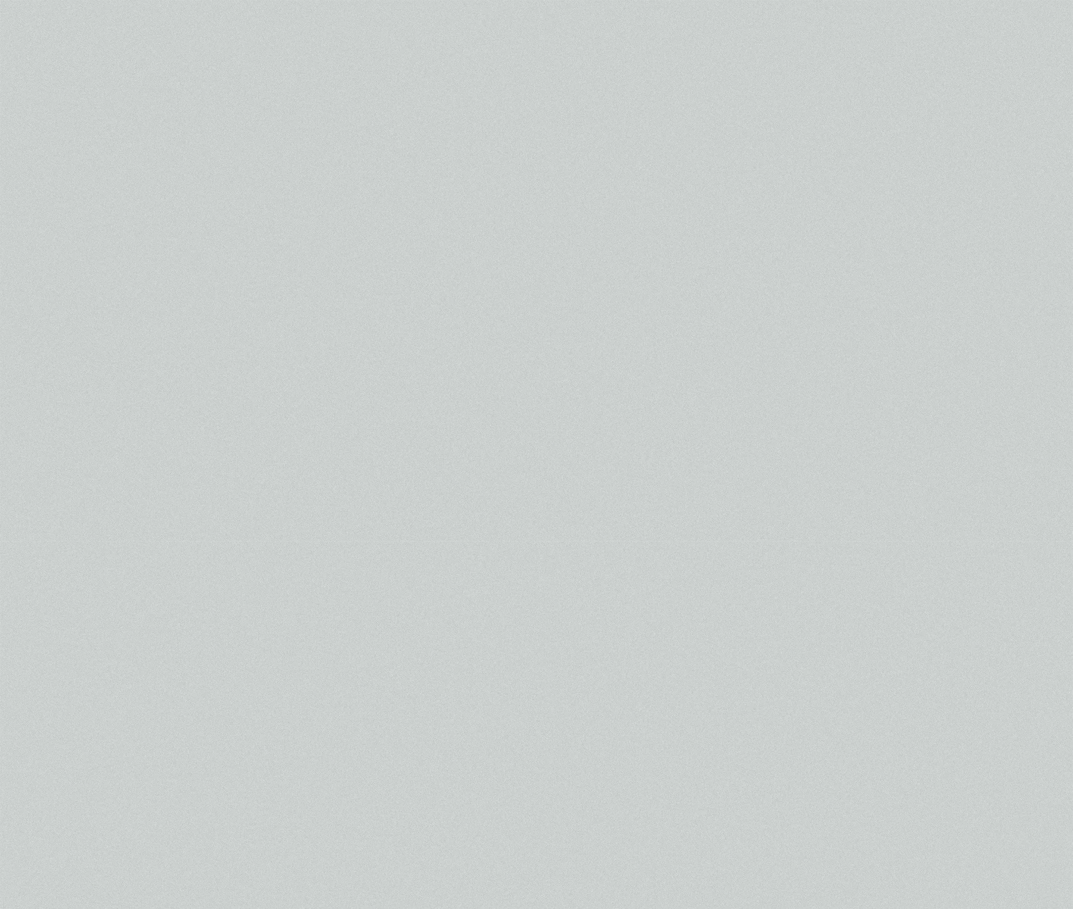 Empty light gray background with no objects or features.