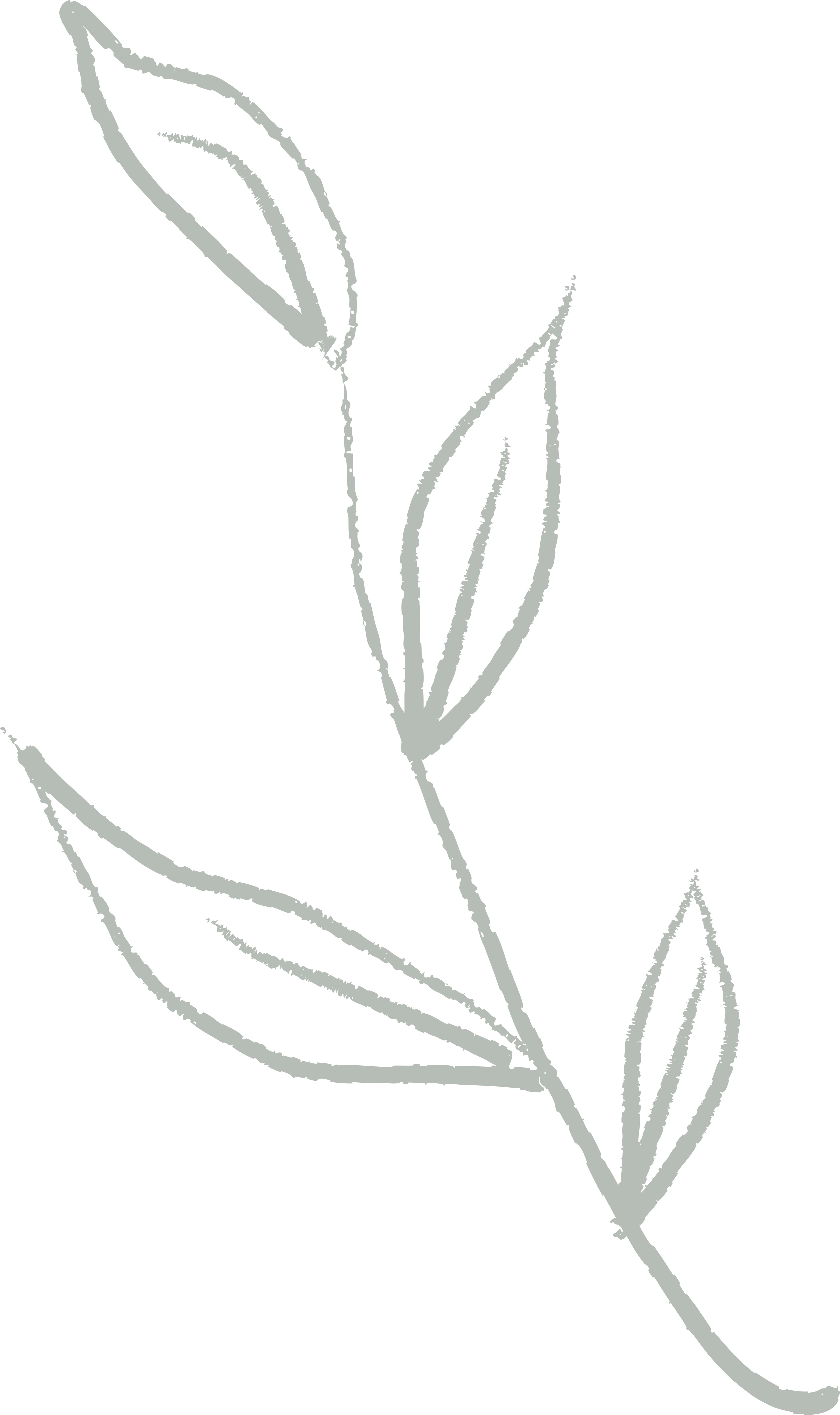 A minimalist outline of a plant with elongated leaves on a black background.