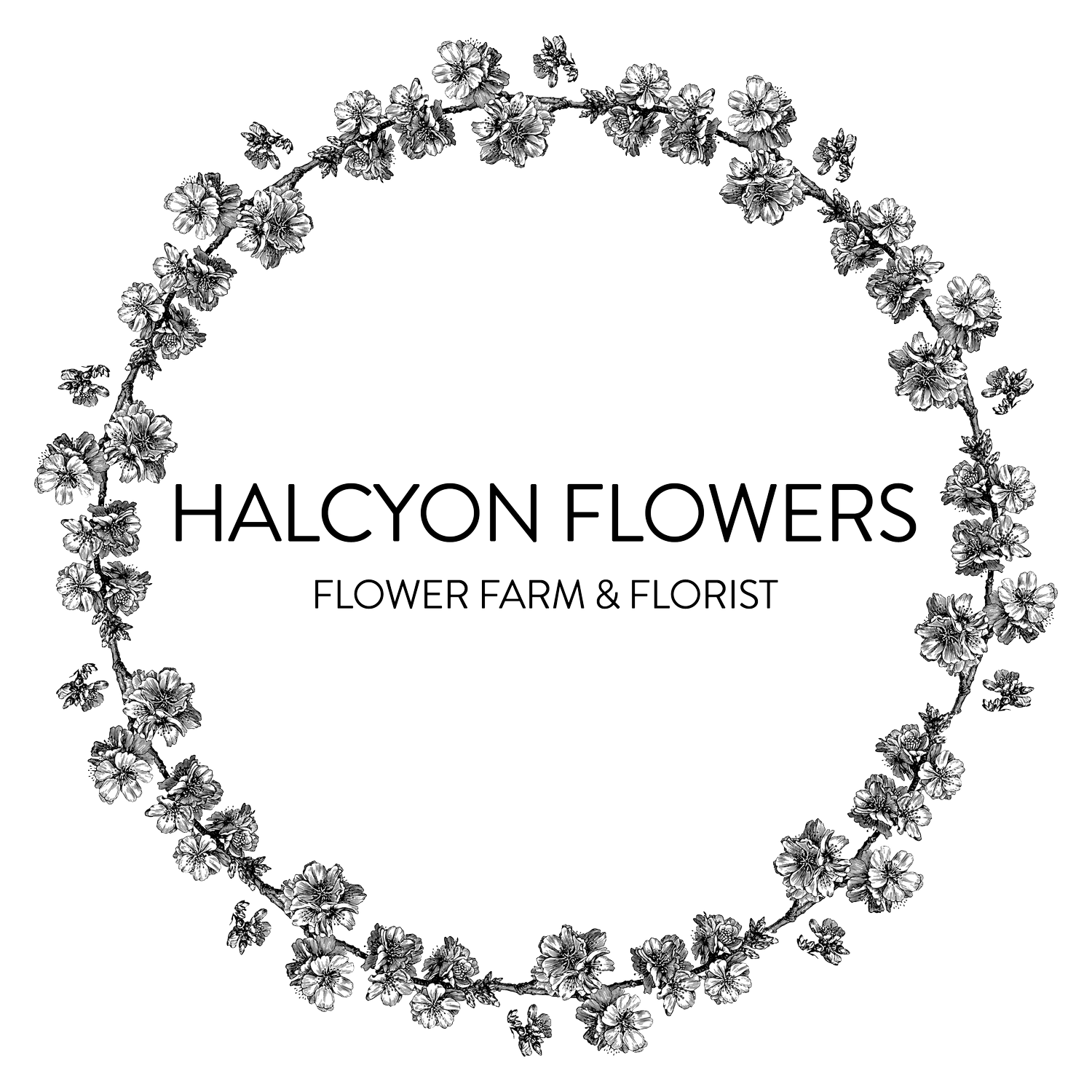 Halcyon Flowers