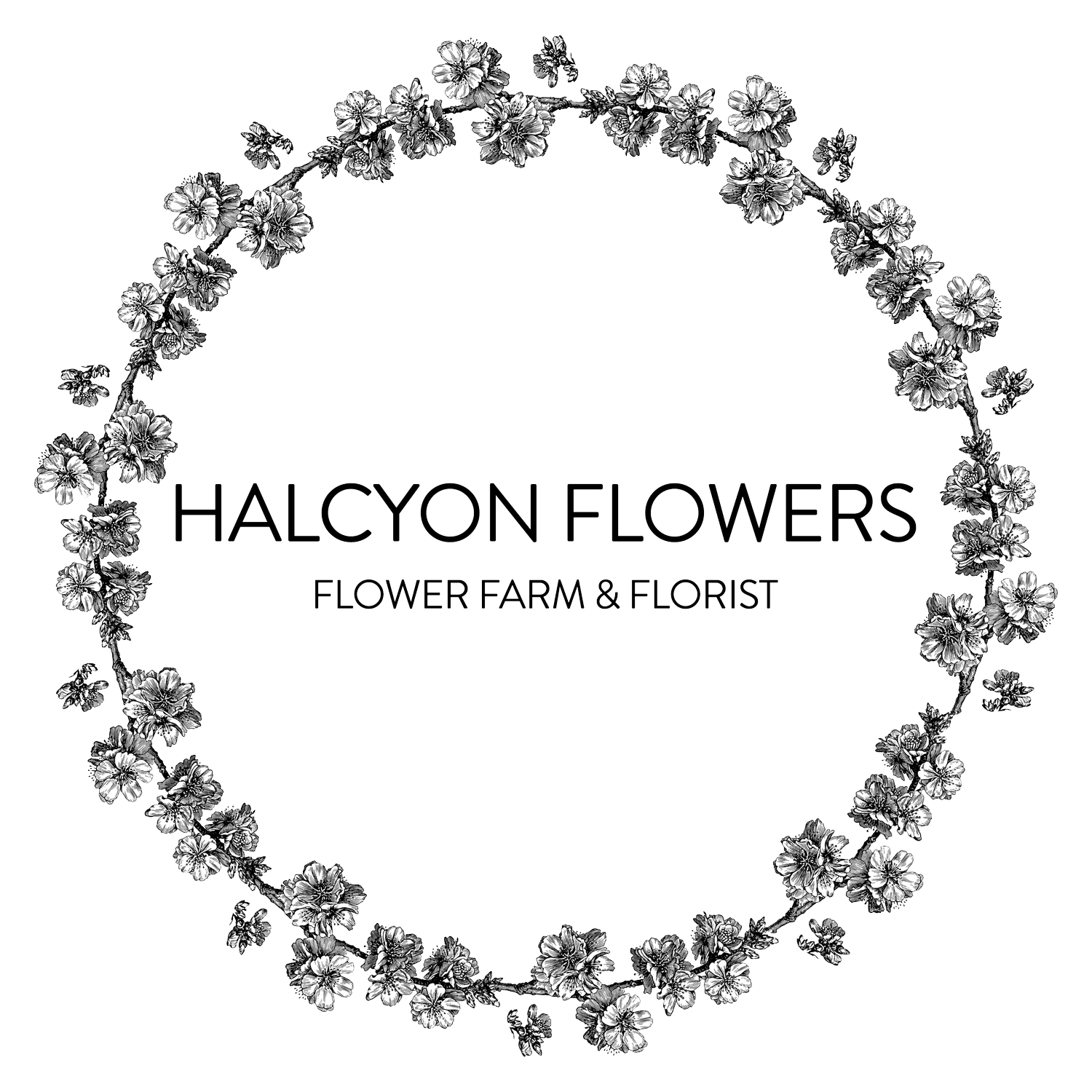 Halcyon Flowers