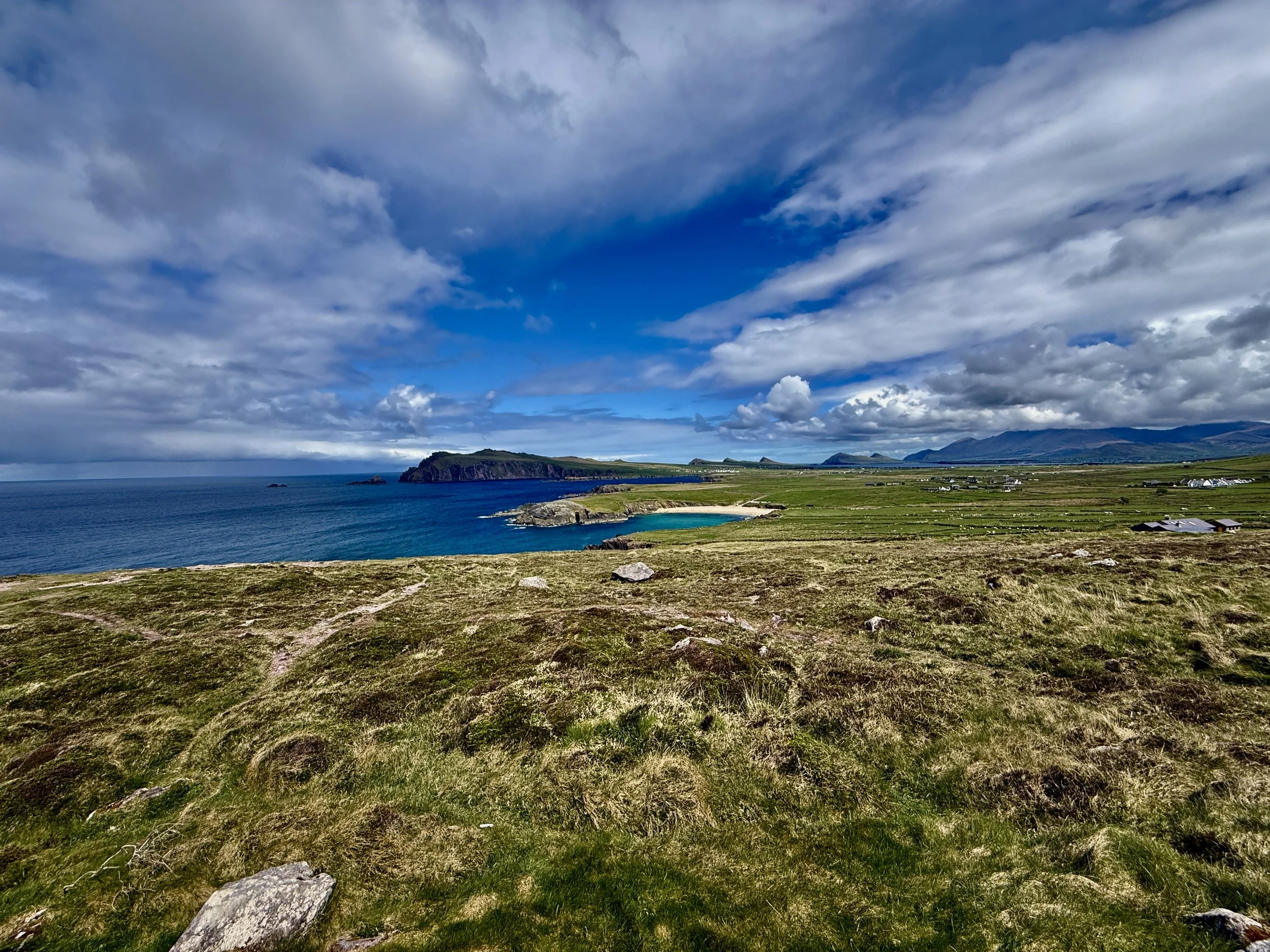Coastal landscape with grassy foreground, rocky shoreline, blue ocean, small island, and cloudy sky with patches of blue.
