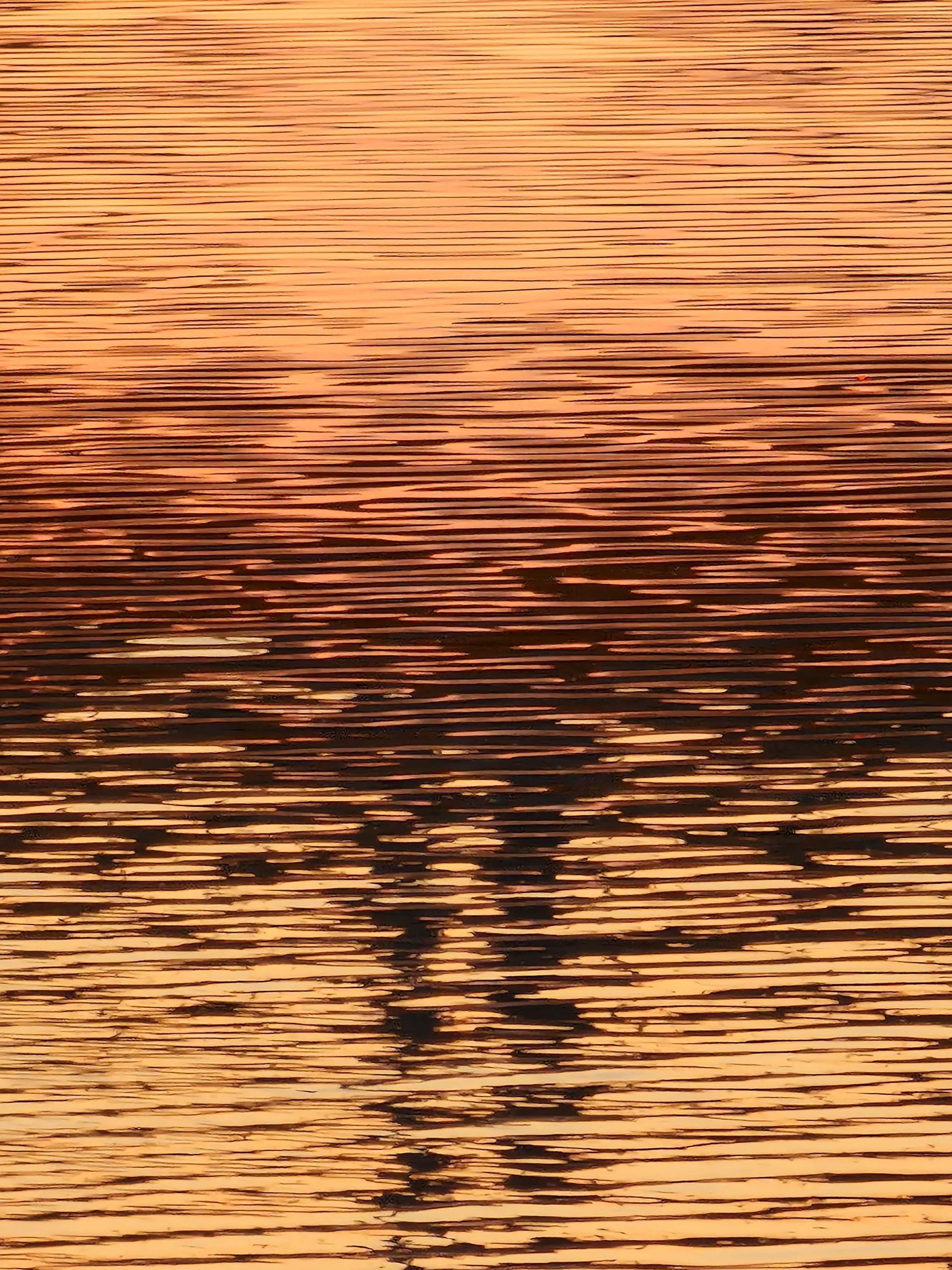 20220422_203241.jpg