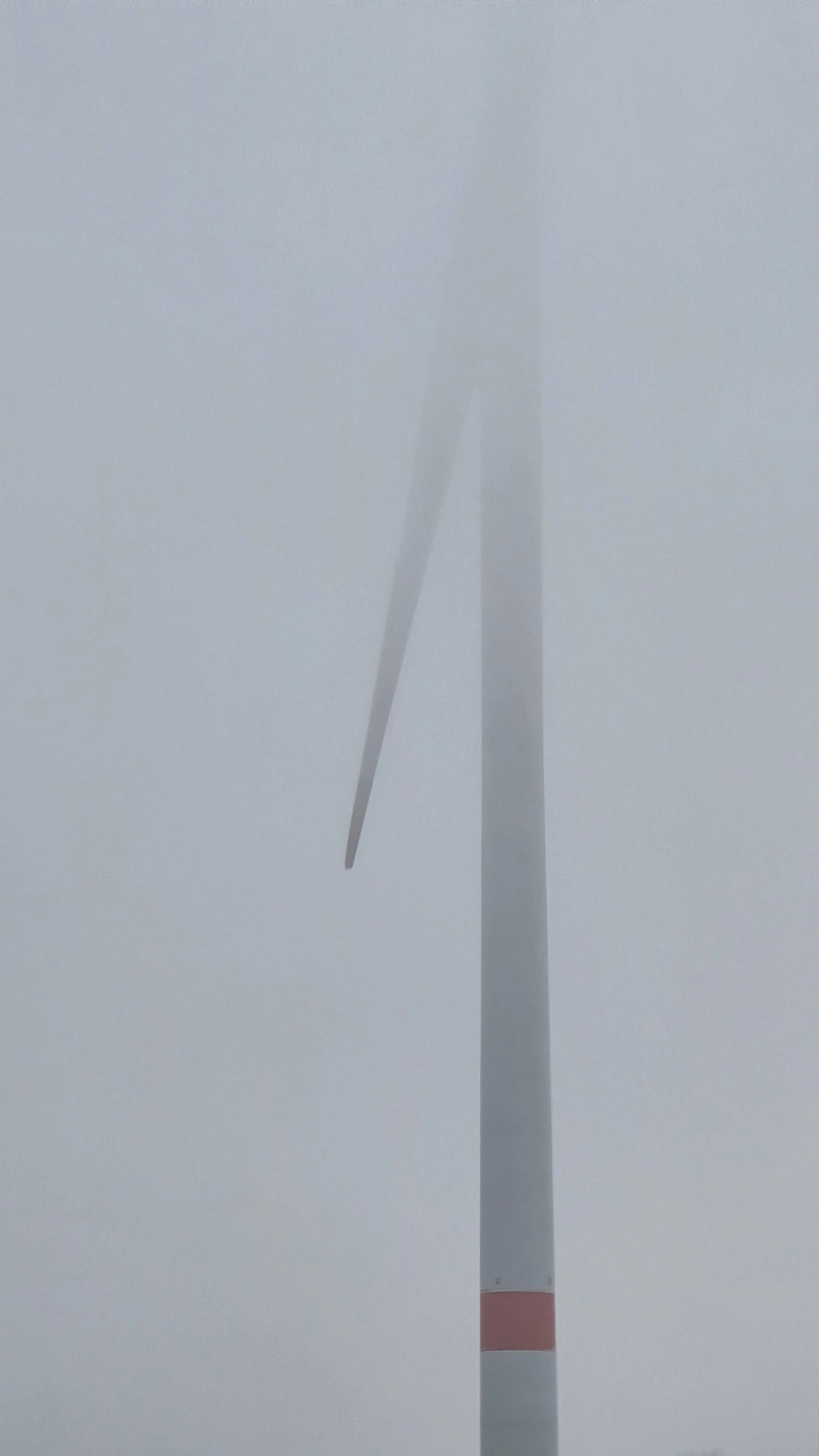 20250118_122323.jpg