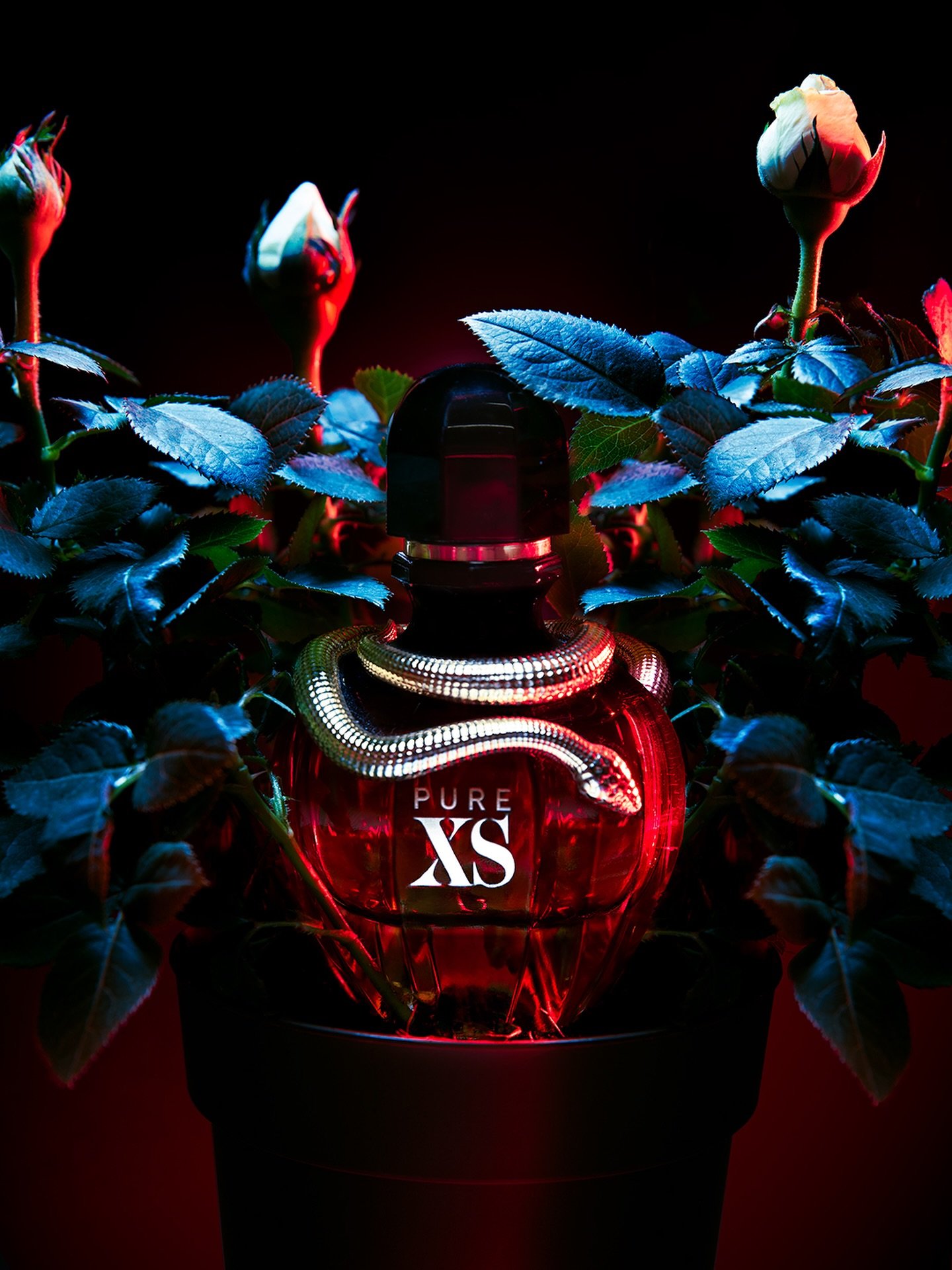 A creative product lighting test, a slightly darker take on fragrance imagery

#productphotography #creativeproductphotography #londonproductphotographer #stilllifephotography