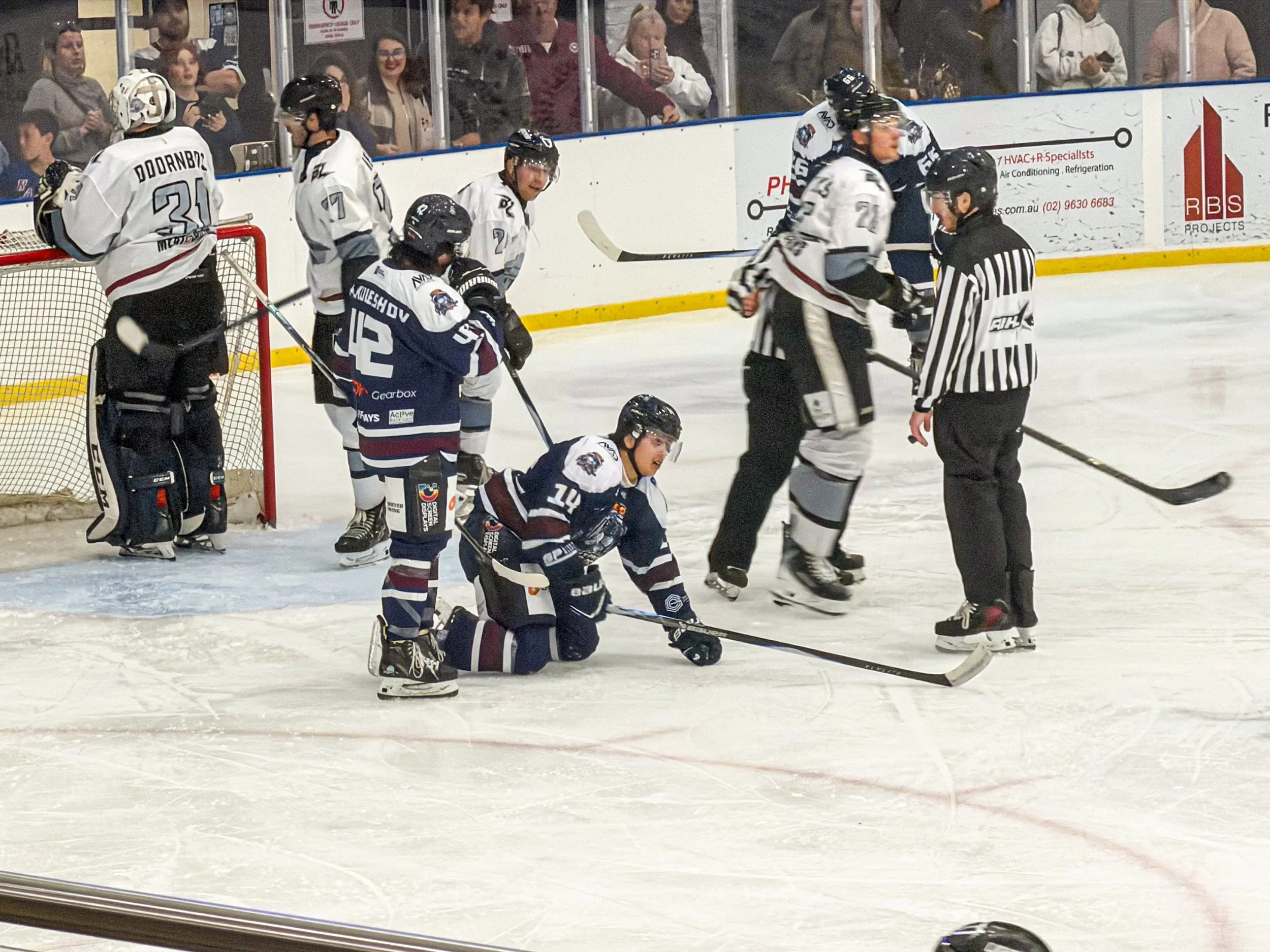 icedogs20260531-6949.jpg