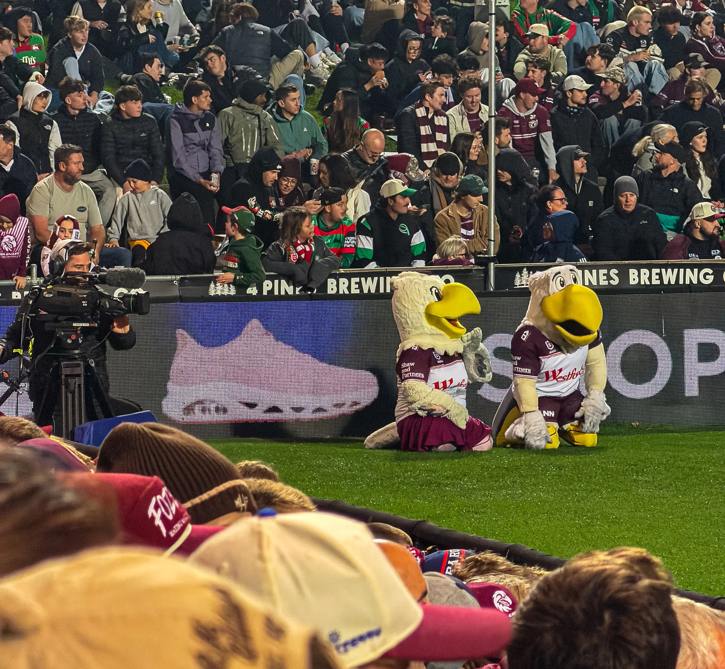 manly20260604-6997.jpg