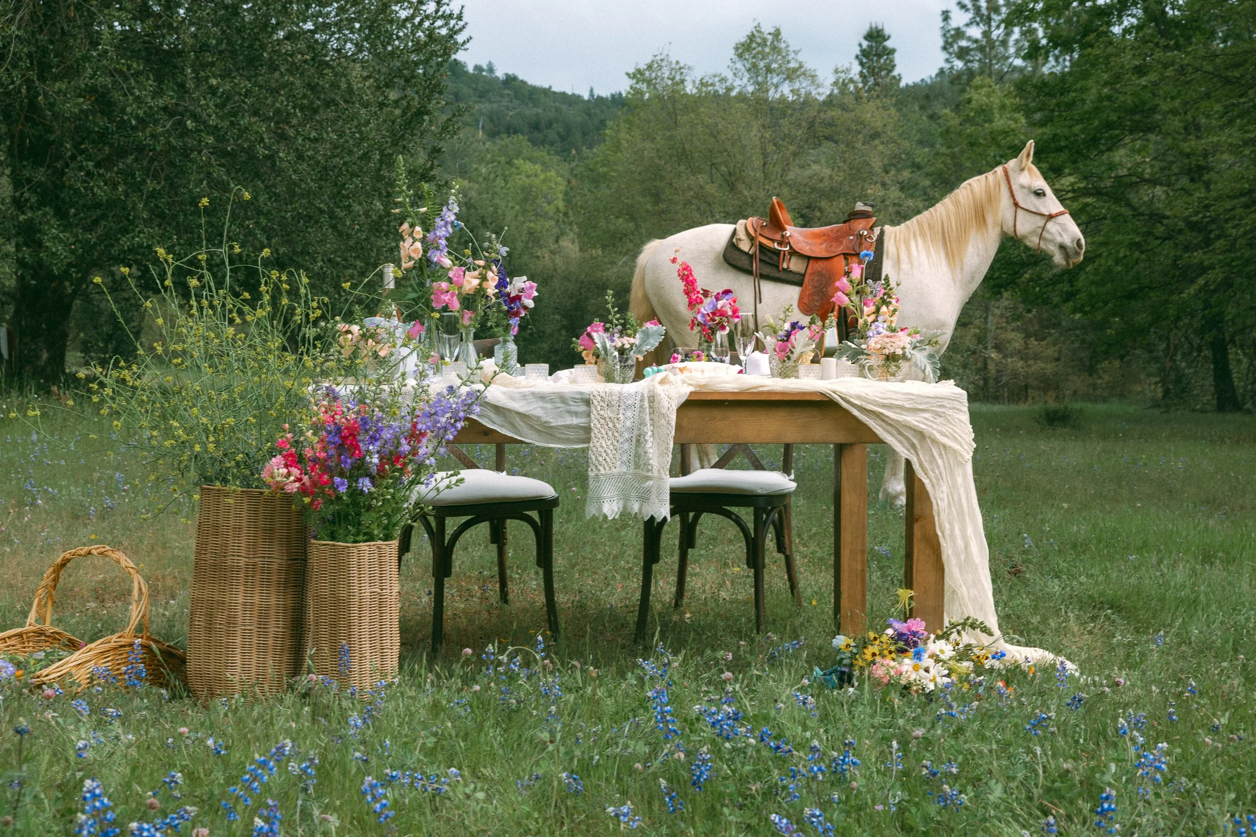 Firefall Ranch Styled Shoot. Jackie Cobar Photography. April 2026.-125.jpg