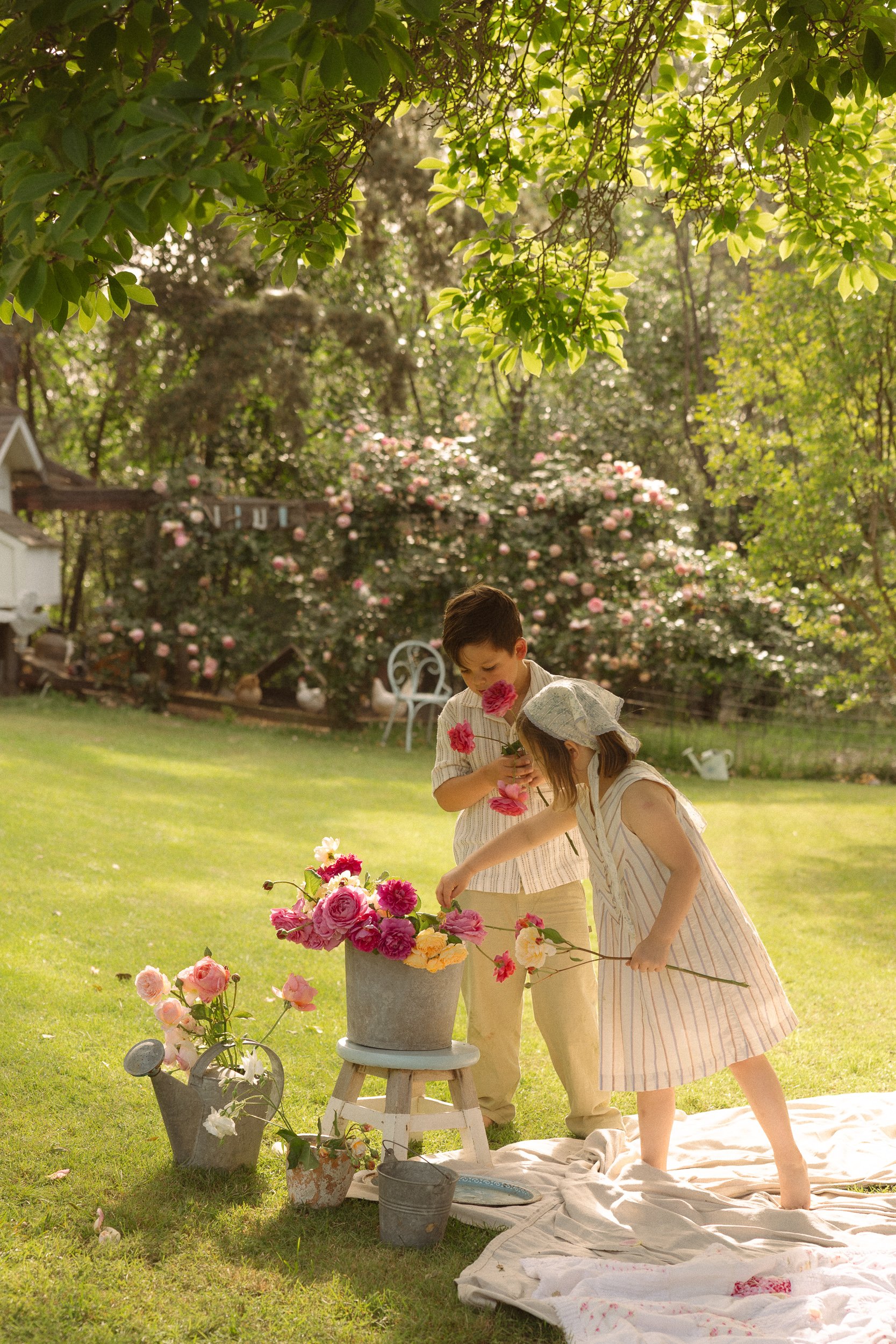 Devin's Dreamy Afternoon. April 2026. Jackie Cobar Photography-44.jpg