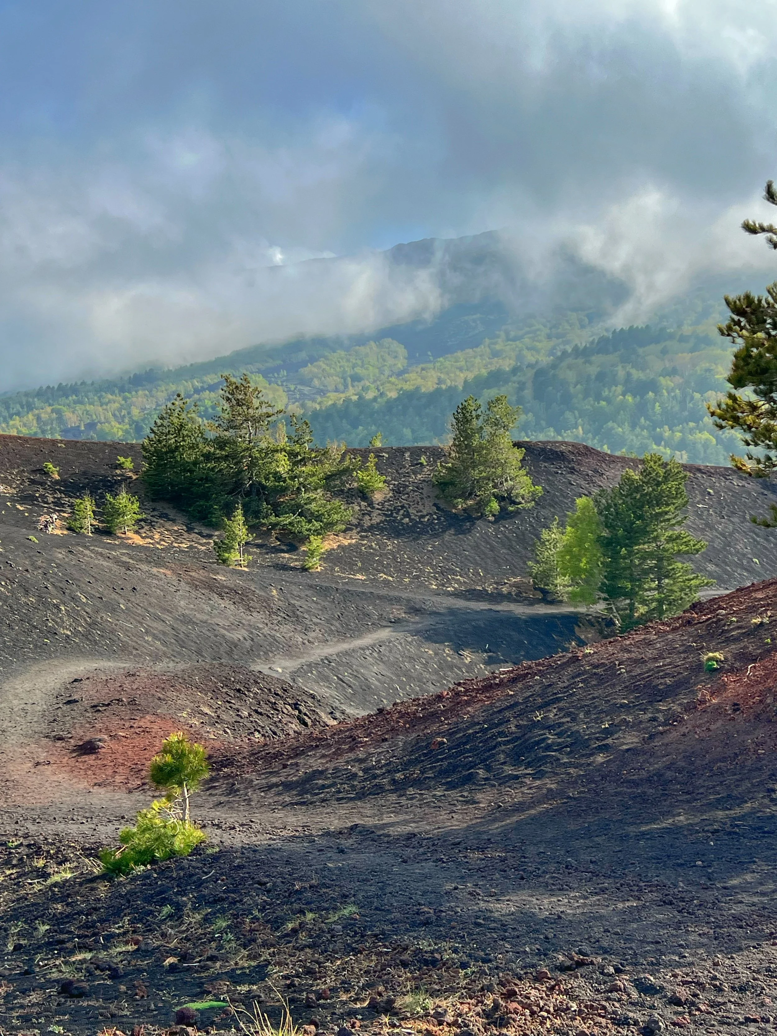 A mountain landscape with trees, some smoke in the background, and a dirt path winding through the terrain.