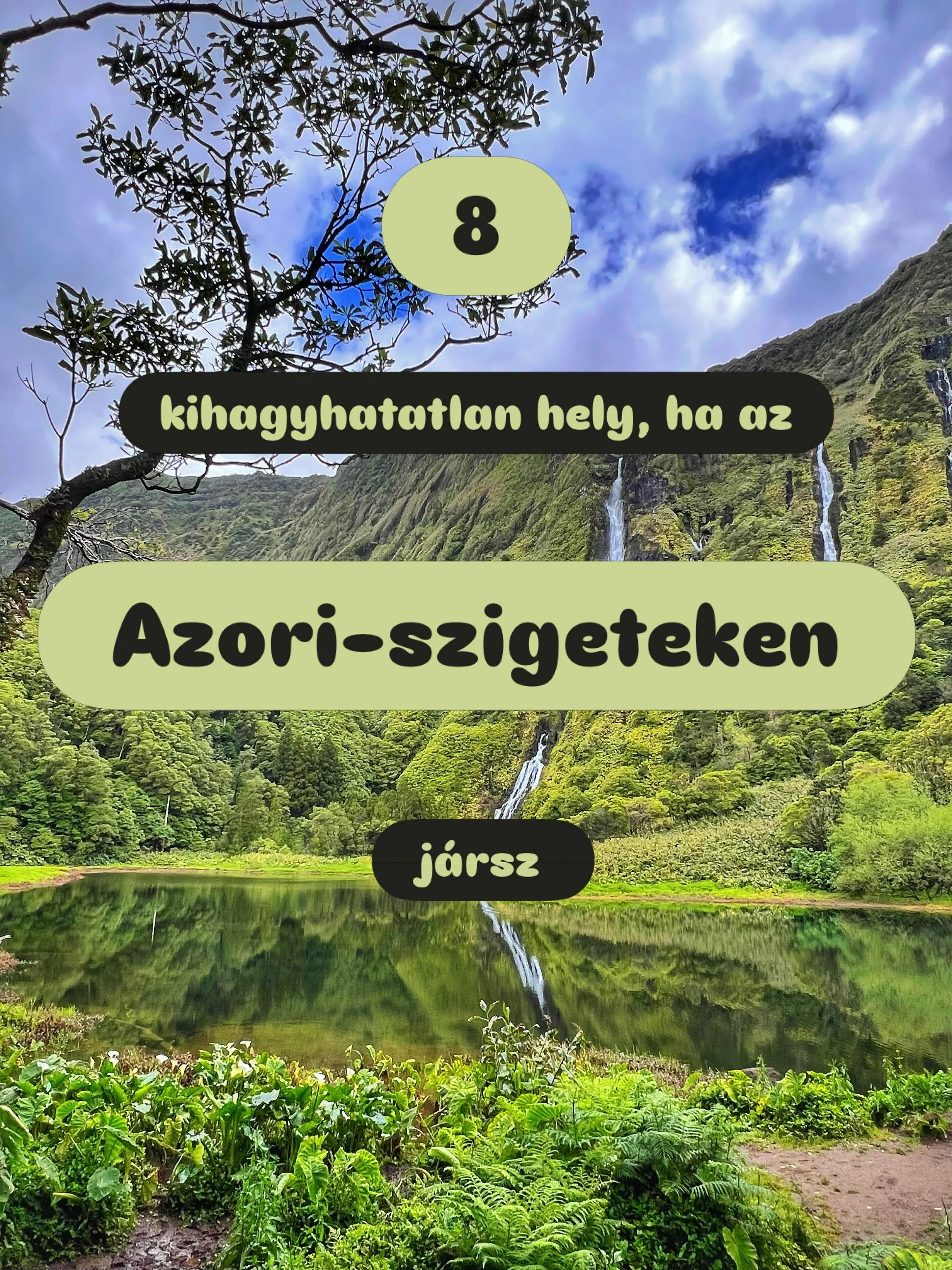 🌿 8 abszol&uacute;t kihagyhatatlan hely, ha az Azori-szigetekre l&aacute;togatsz 🌿 

Mentsd el ezt a posztot k&eacute;sőbbre, hidd el, h&aacute;l&aacute;s leszel magadnak. 😍 

1. Ch&aacute; Gorreana-tea&uuml;ltetv&eacute;ny, S&atilde;o Miguel

2. 