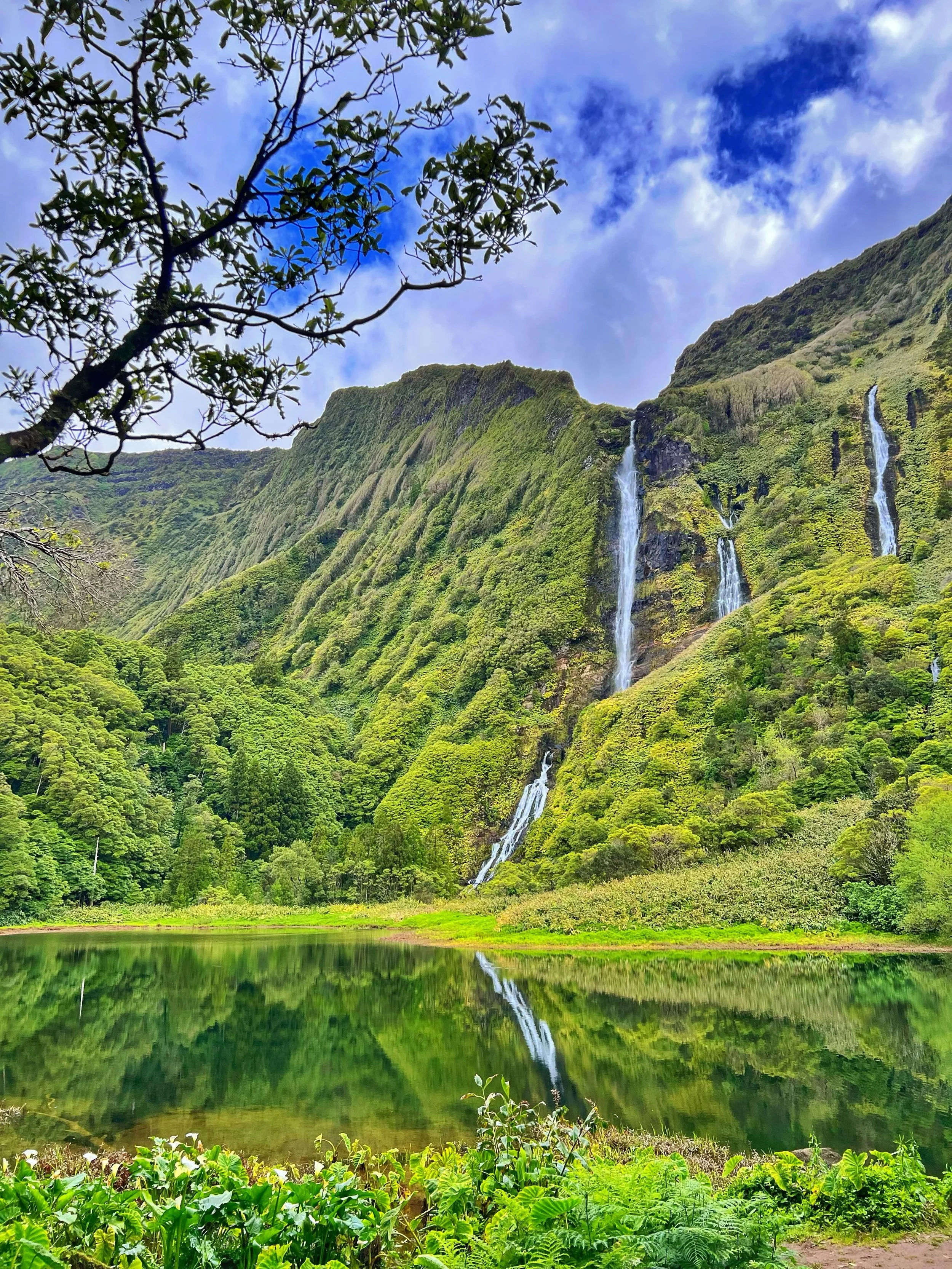 📍Po&ccedil;o da Ribeira do Ferreiro

Jurassic Park in real life 🦕