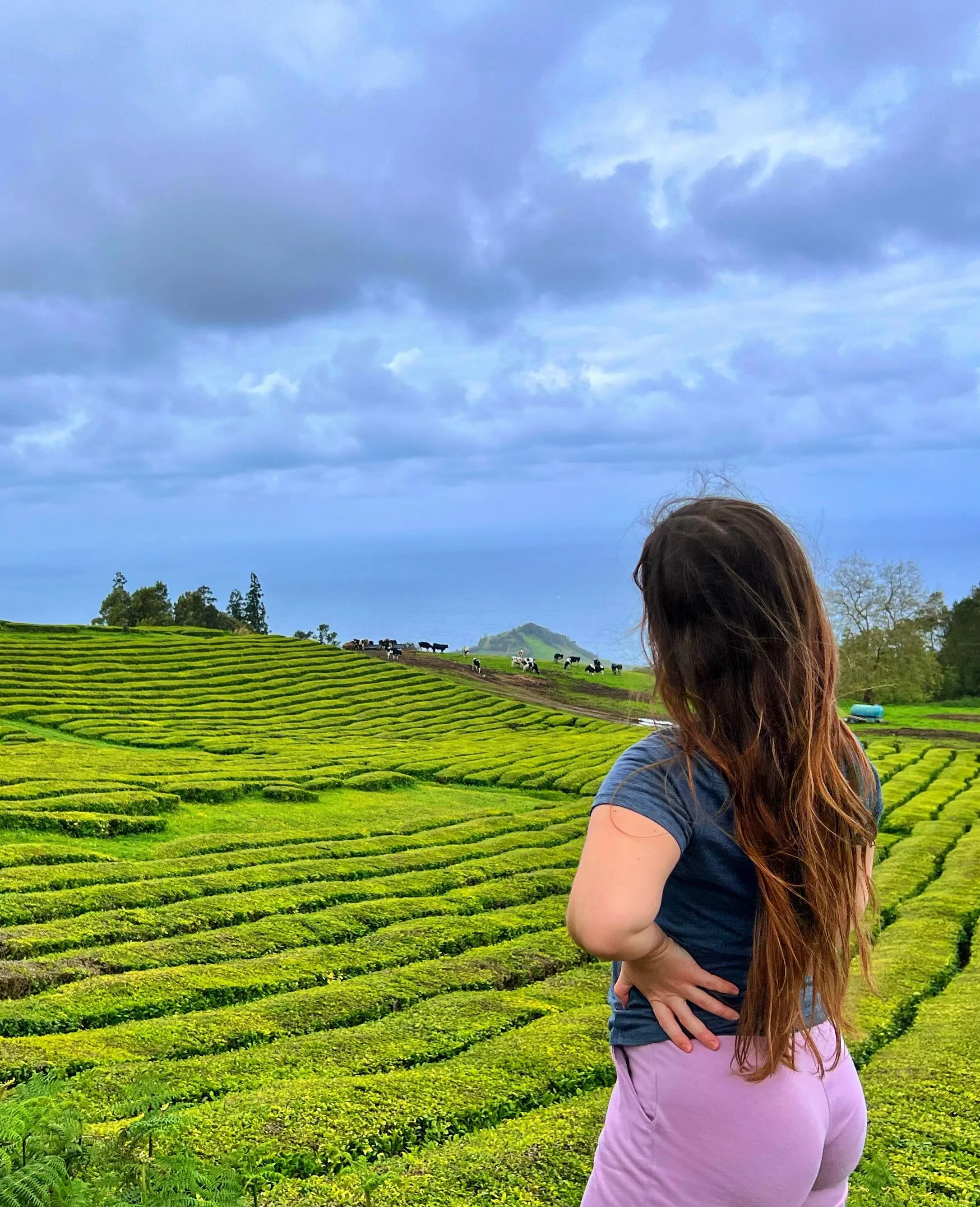 📍 Ch&aacute; Gorreana 🌱 

Az egyik&uuml;nk t&uacute;r&aacute;zni akart, a m&aacute;sikunk te&aacute;zni. Szerencs&eacute;re itt volt lehetős&eacute;g mindkettőre. 😁

#azores #saomiguel #chagorreana #europe #travel