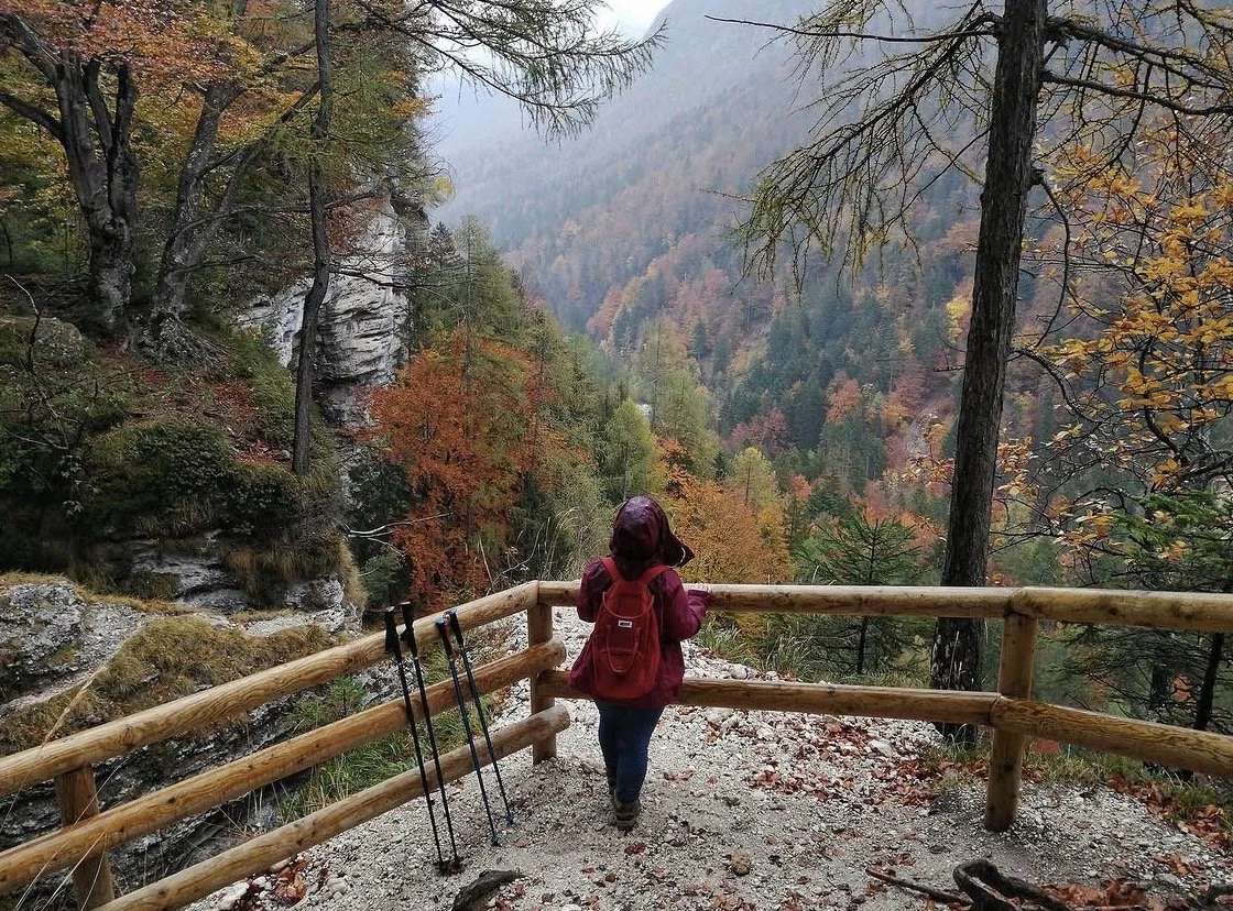 A person with a red backpack and red jacket walking along a mountain trail with a wooden railing, surrounded by autumn trees and scenic valley views.