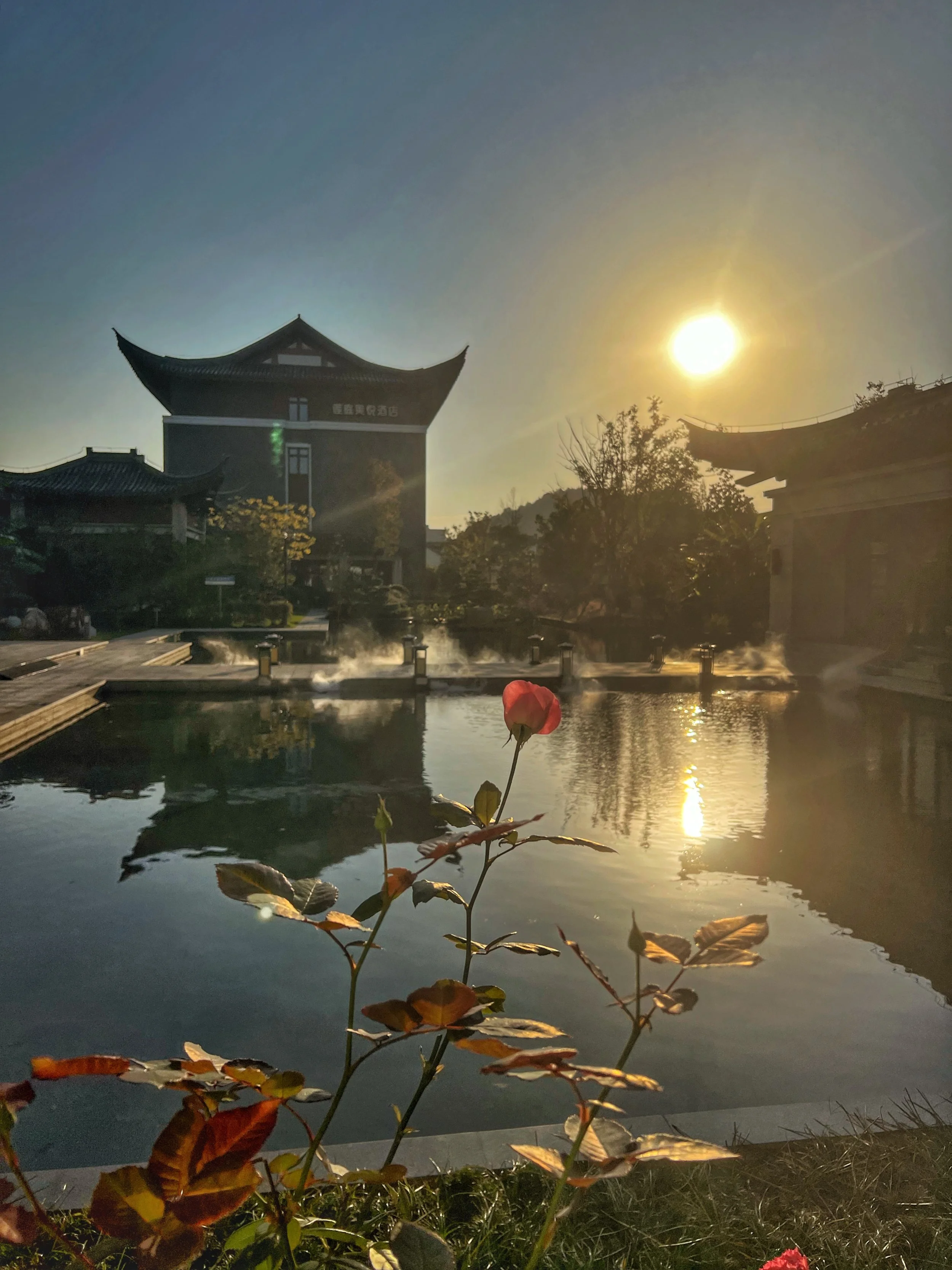 Sunset over a traditional Asian-style building with a pond in the foreground, surrounded by plants and trees.