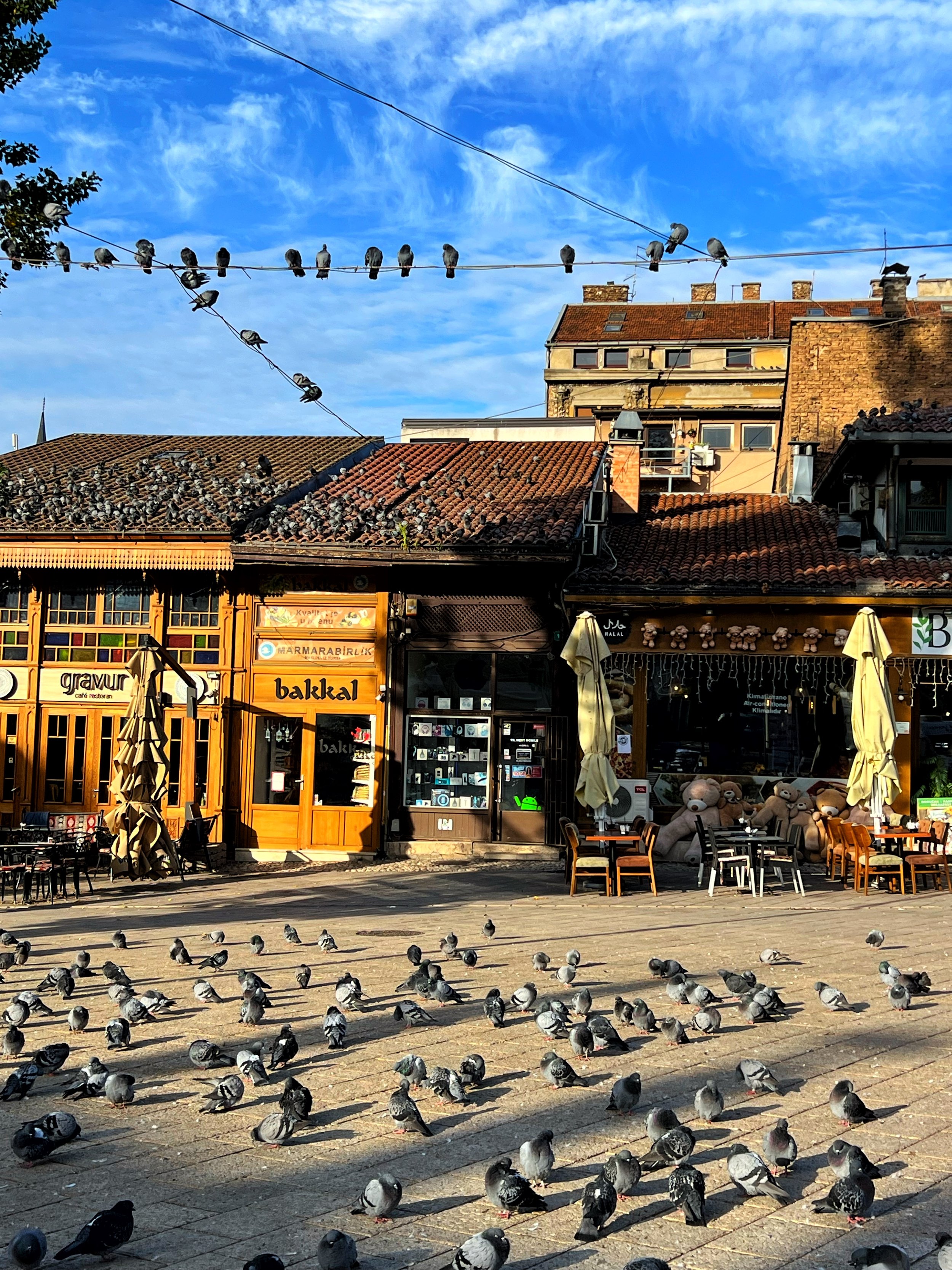 Numerous pigeons are gathered on a cobblestone street in front of shops and cafes. The shops have signs in Turkish and teddy bears displayed outside. The background features old buildings with red tiled roofs, and a blue sky with wispy clouds.