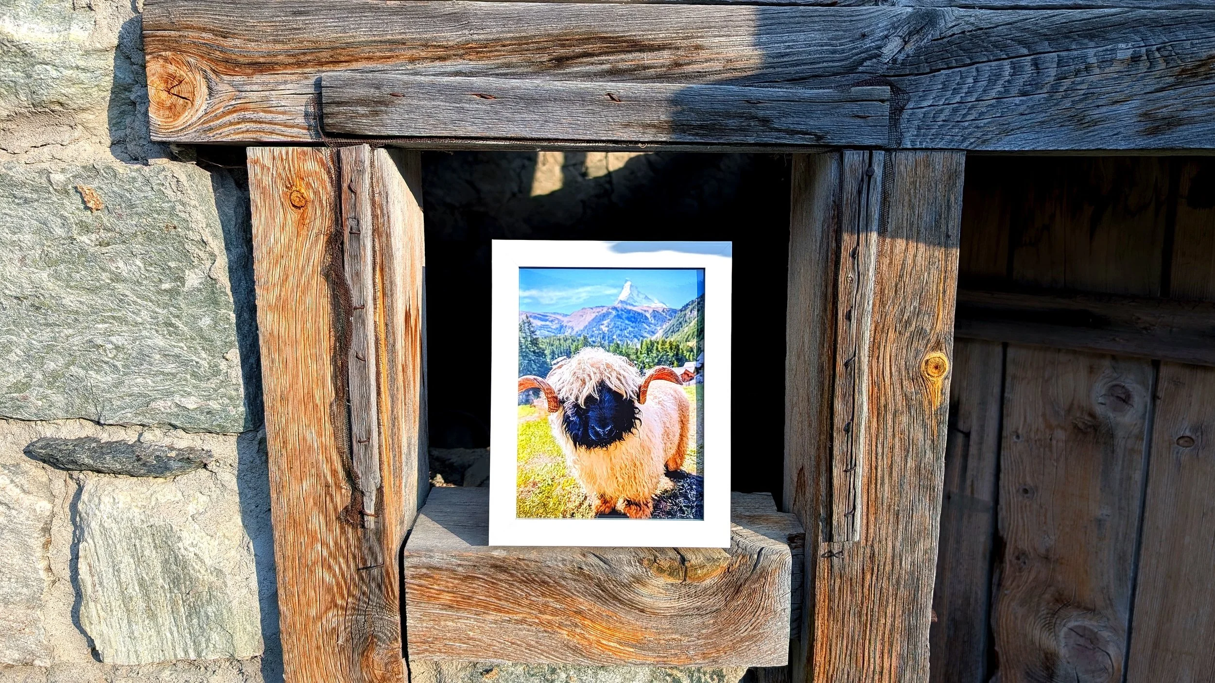 The Cutest Residents of Zermatt