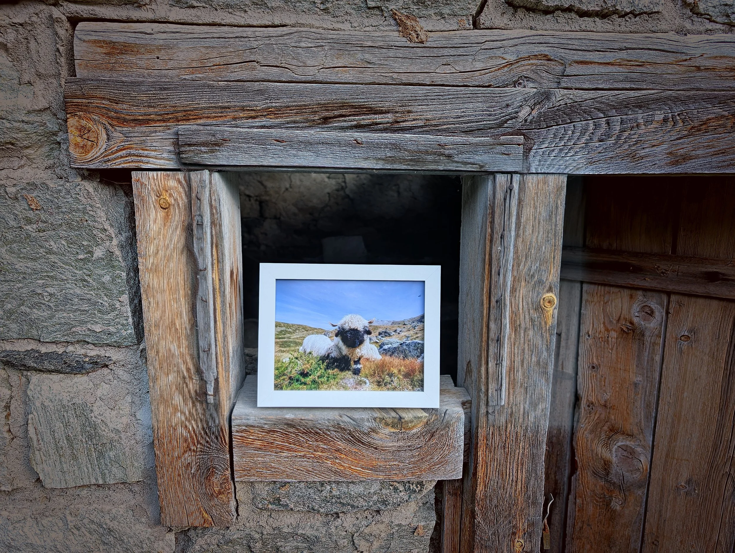 The Cutest Residents of Zermatt