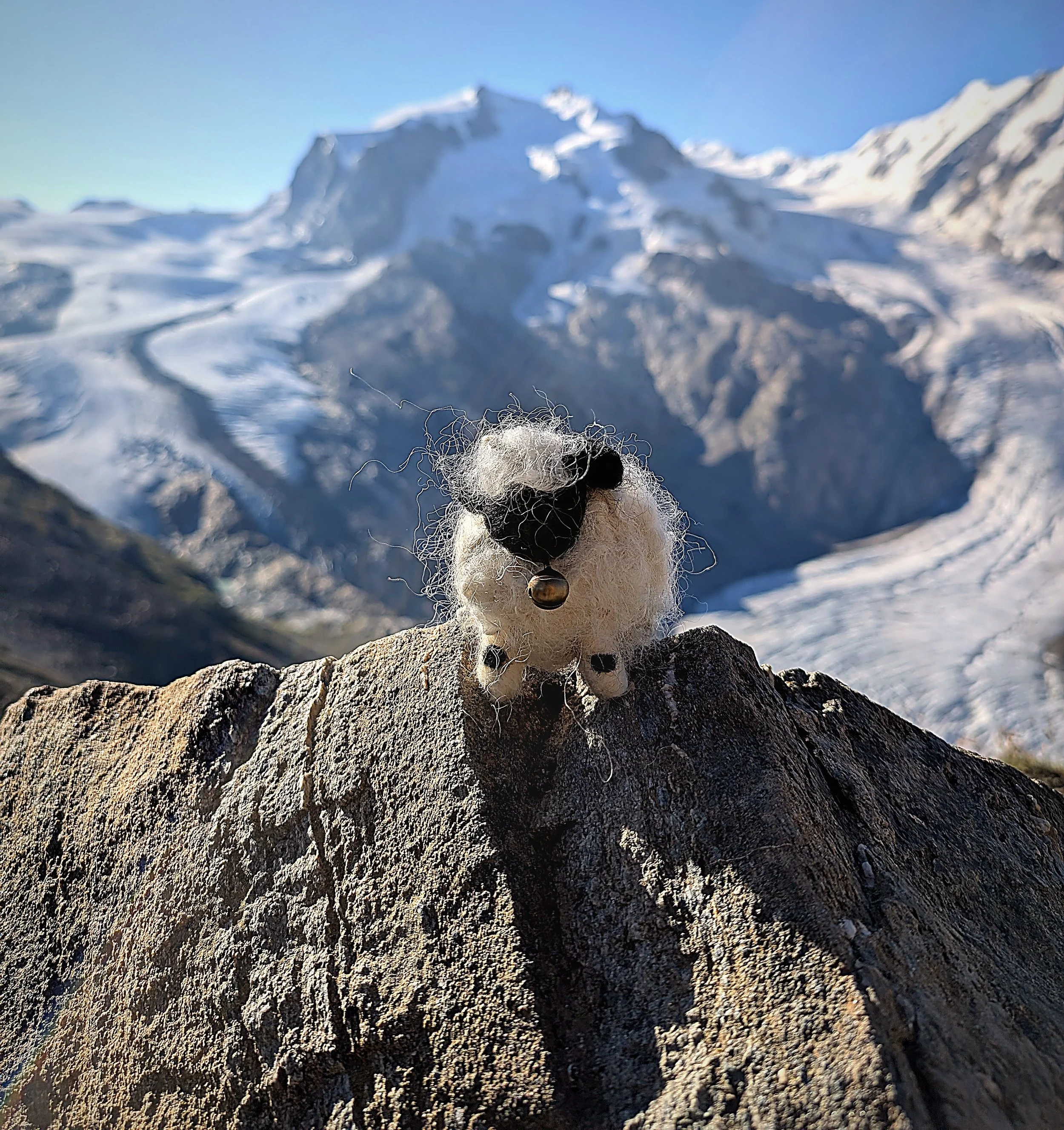 zermatt_light_edit_05_single_sheep_glacier.jpg