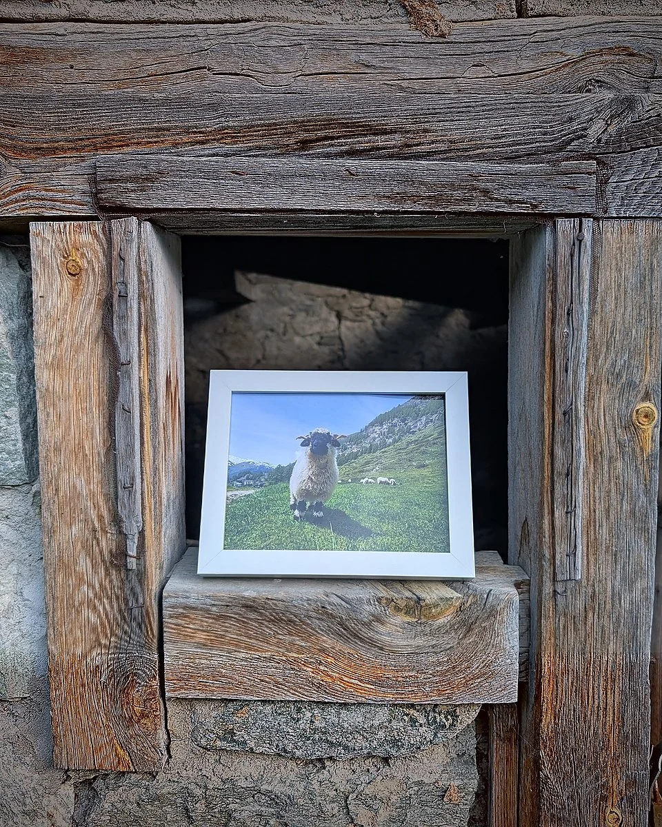 The Cutest Residents of Zermatt