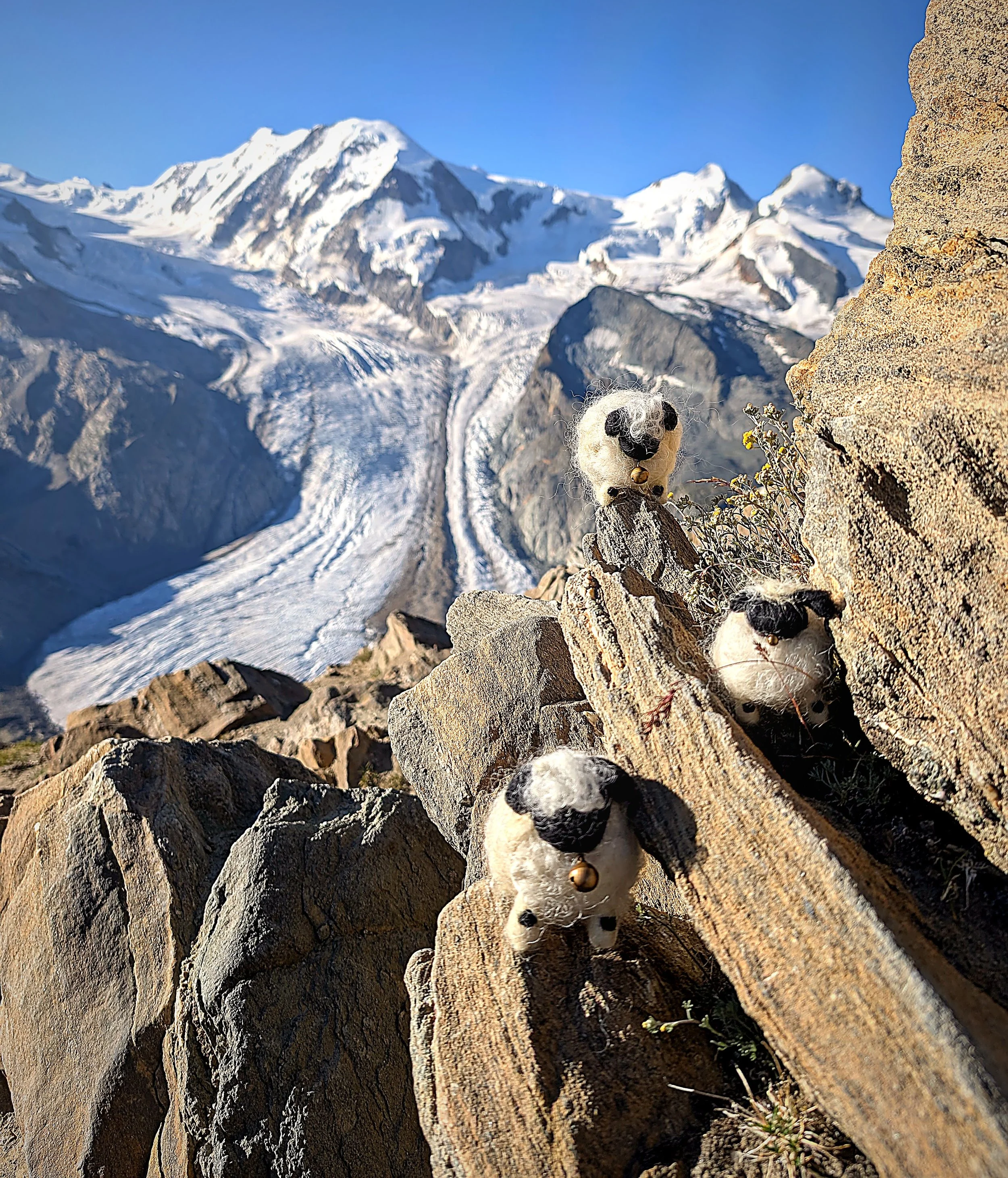 zermatt_light_edit_10_three_sheep_scattered.jpg