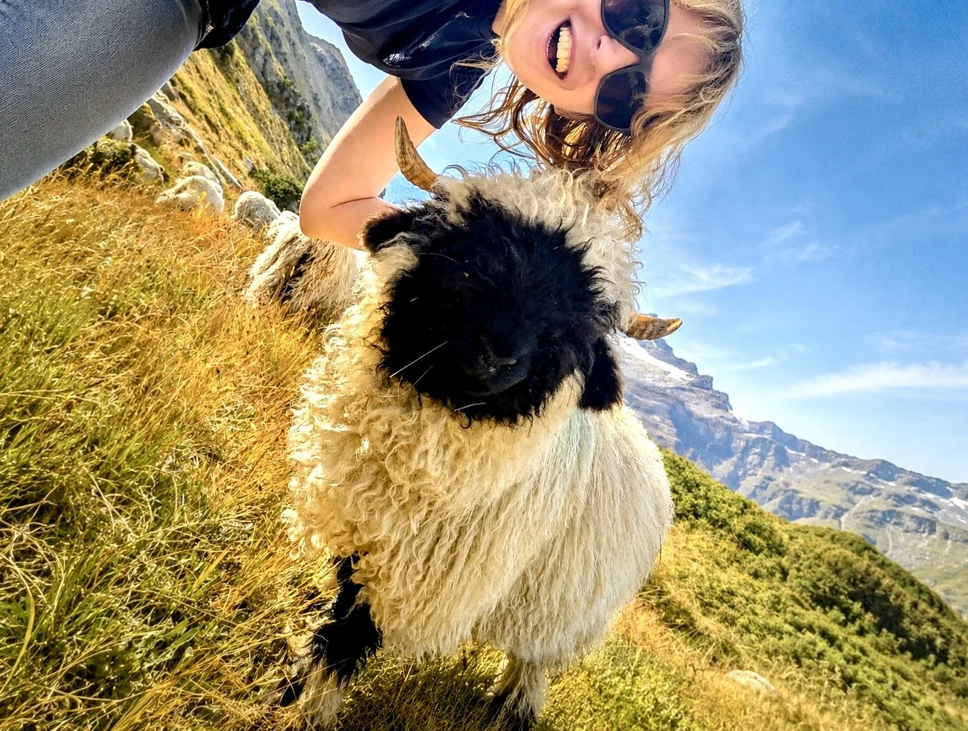 A woman with blonde hair, wearing sunglasses, smiling and taking a selfie with a blacknose sheep in a mountainous landscape with green hills and a blue sky. Zermatt, Matterhorn.