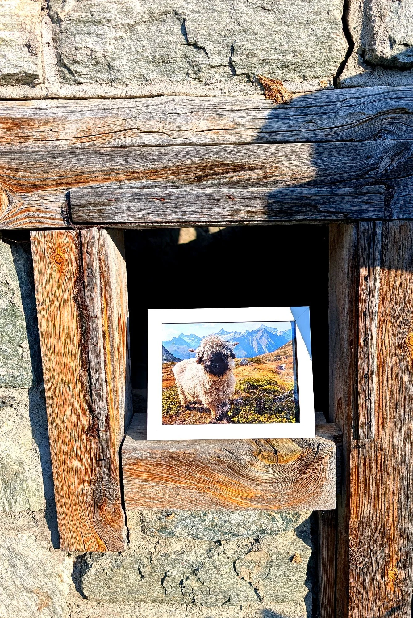 The Cutest Residents of Zermatt