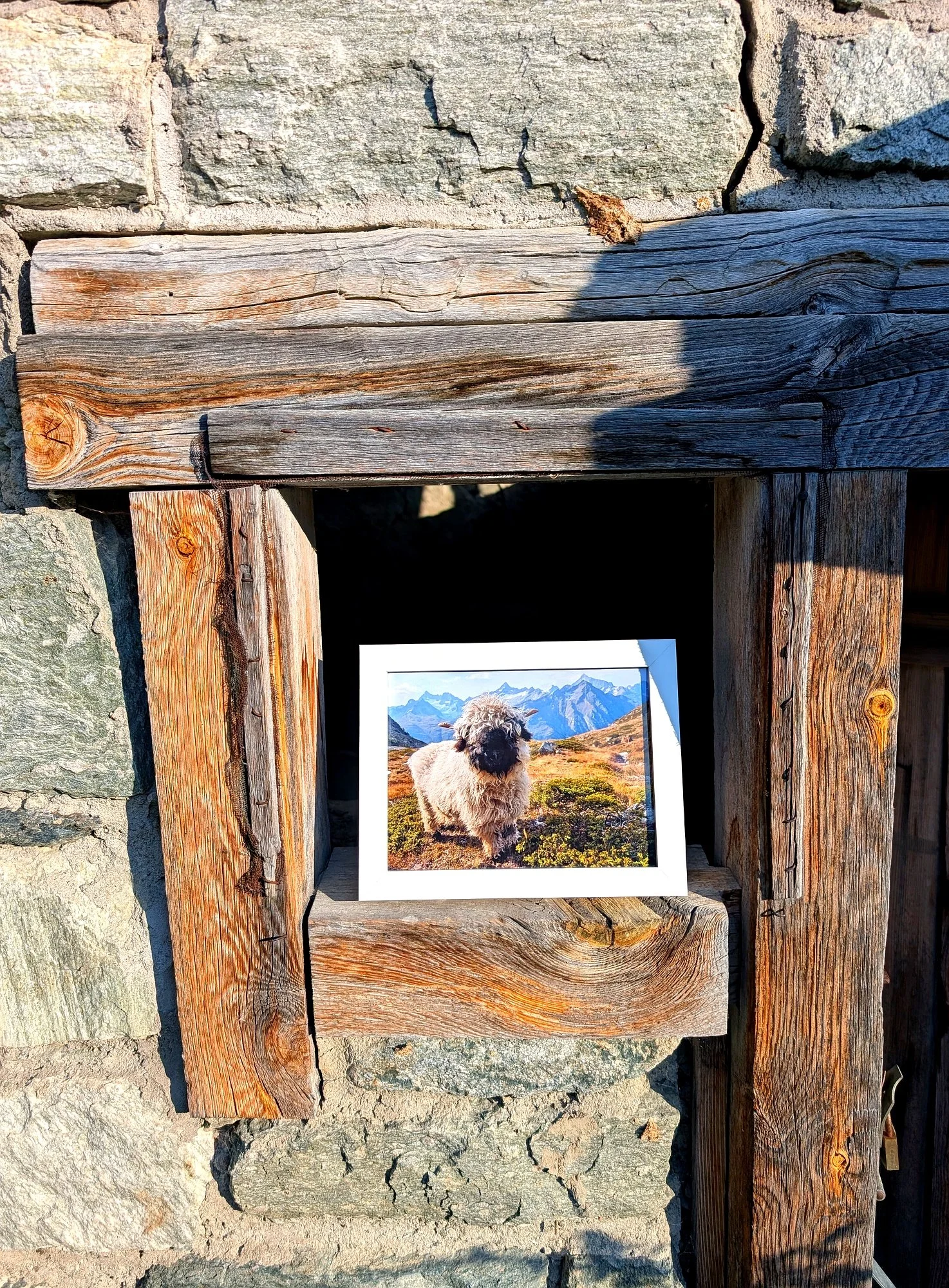 zermatt-light-lamb-alps-portrait.jpg