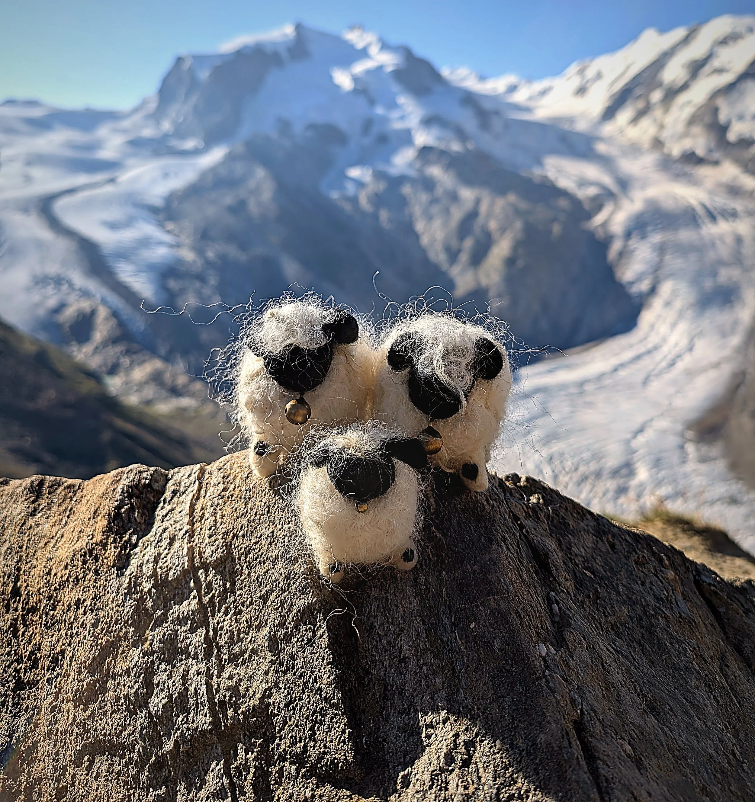 zermatt_light_edit_04_three_sheep_cluster.jpg