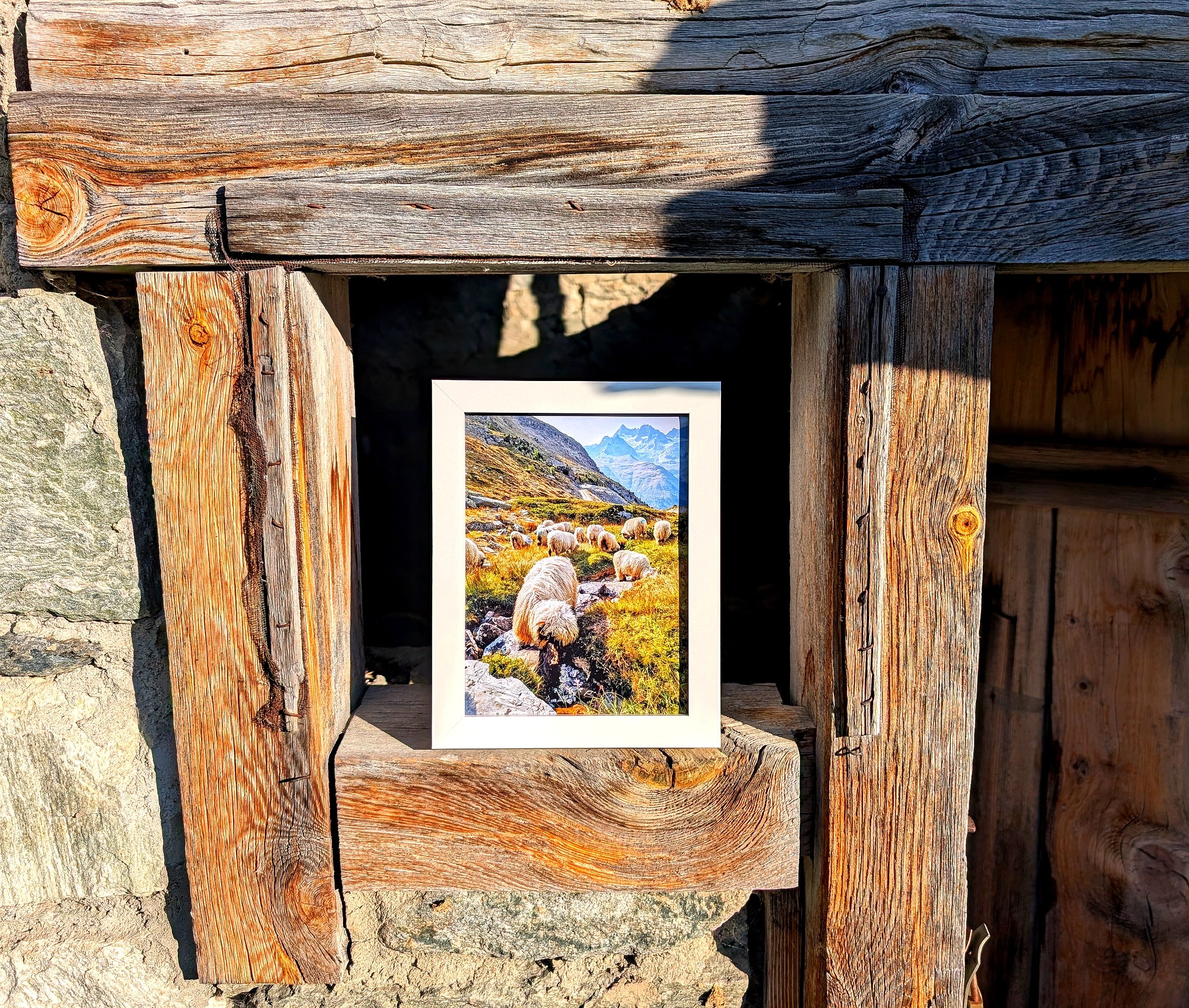 The Cutest Residents of Zermatt