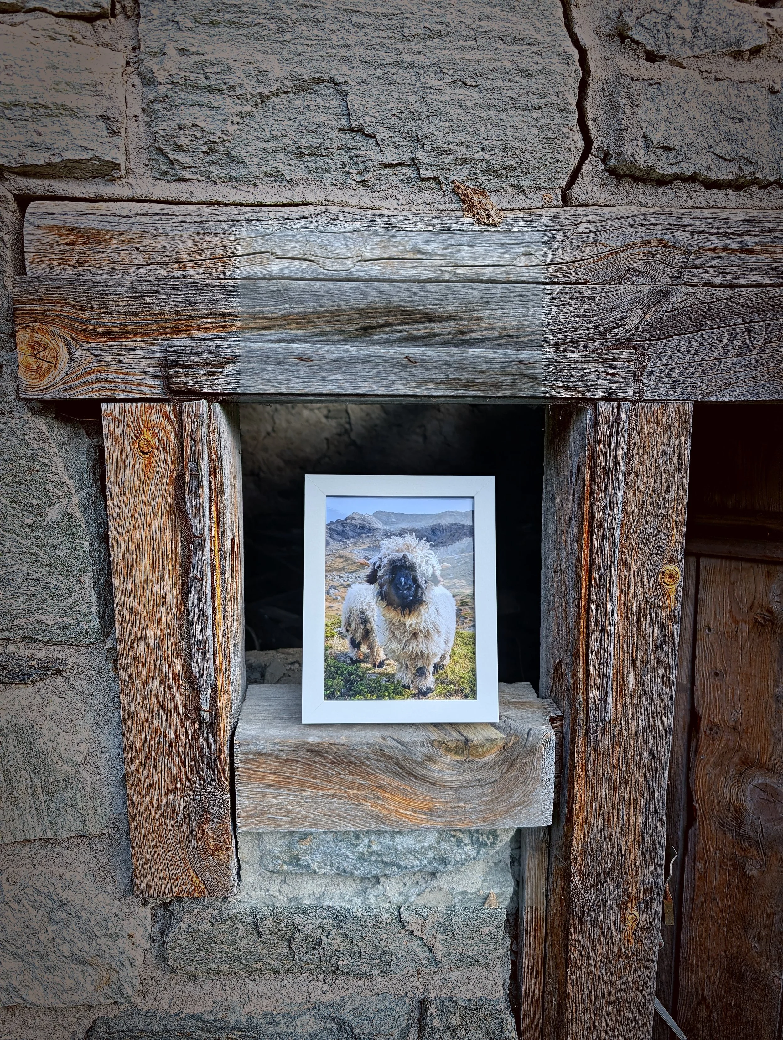 The Cutest Residents of Zermatt