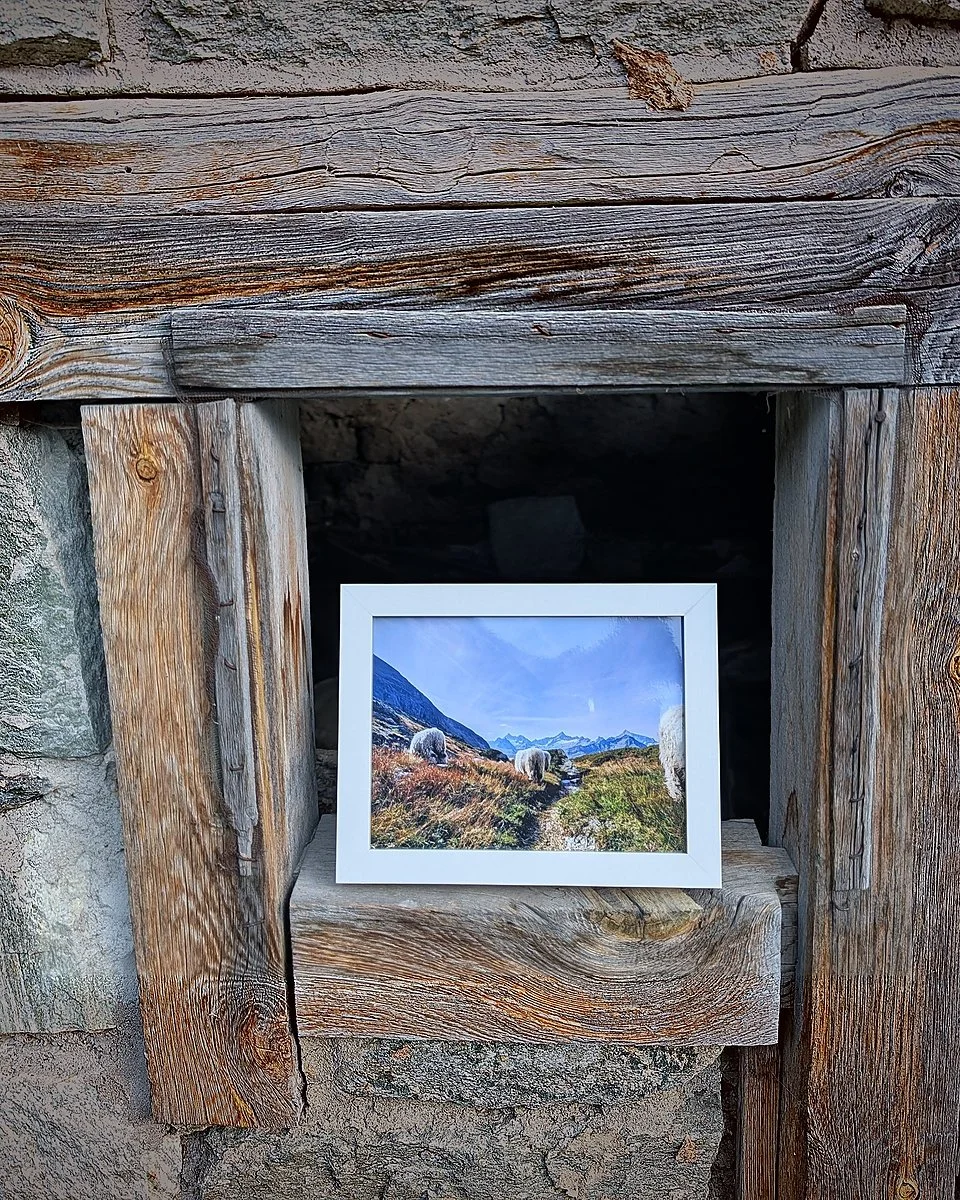 The Cutest Residents of Zermatt