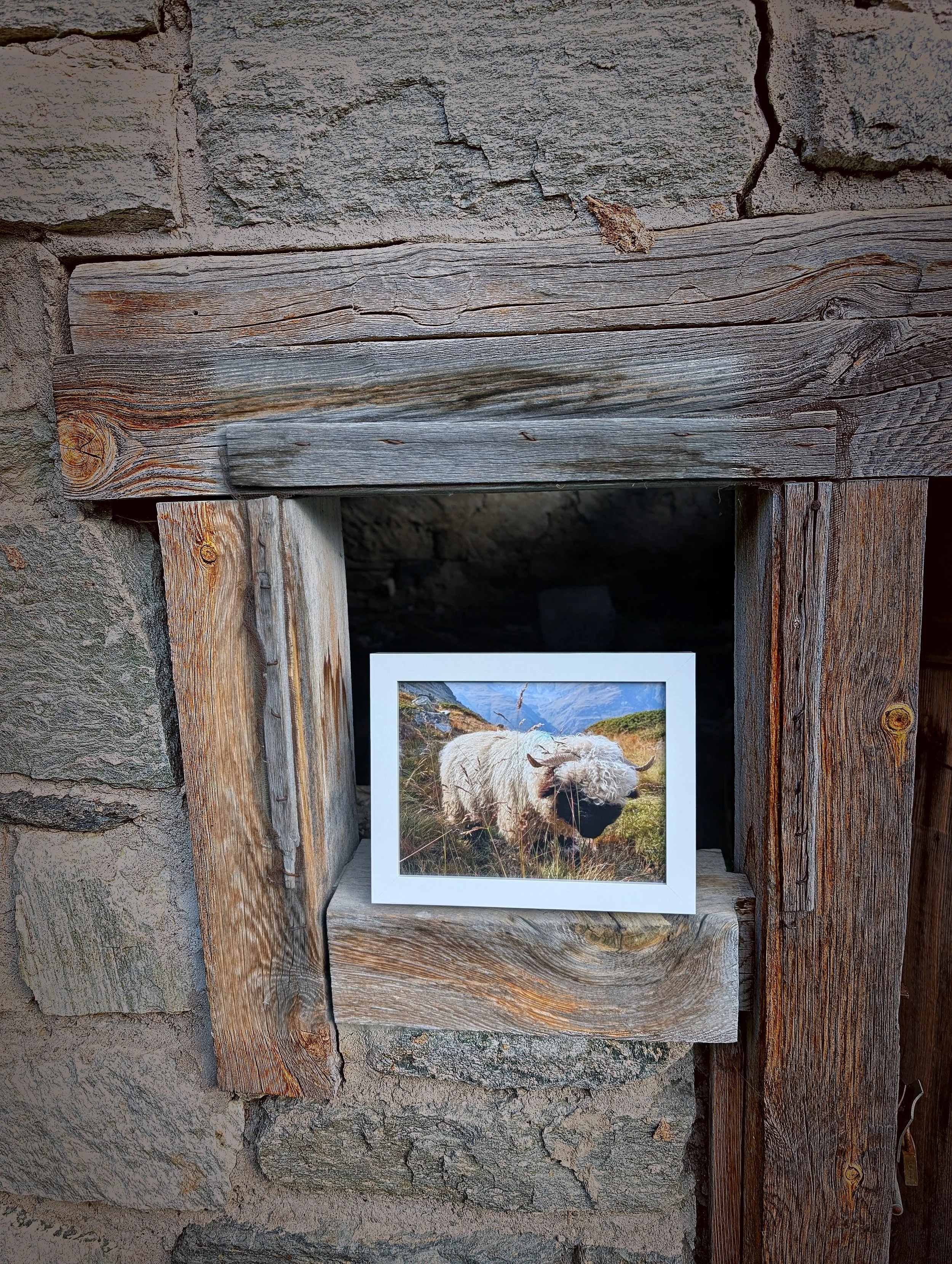 The Cutest Residents of Zermatt