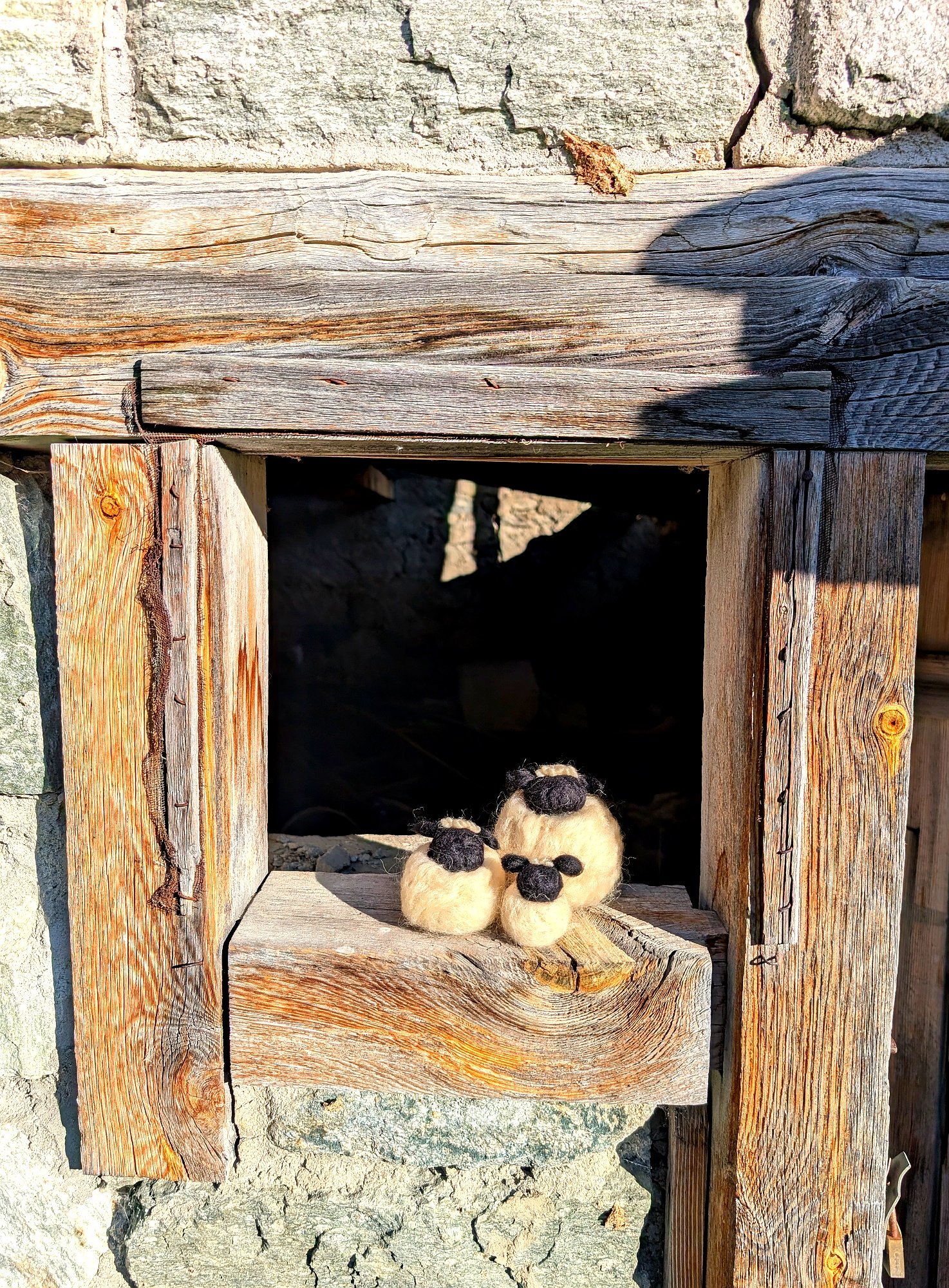 zermatt-light-ball-sheep-pair.jpg