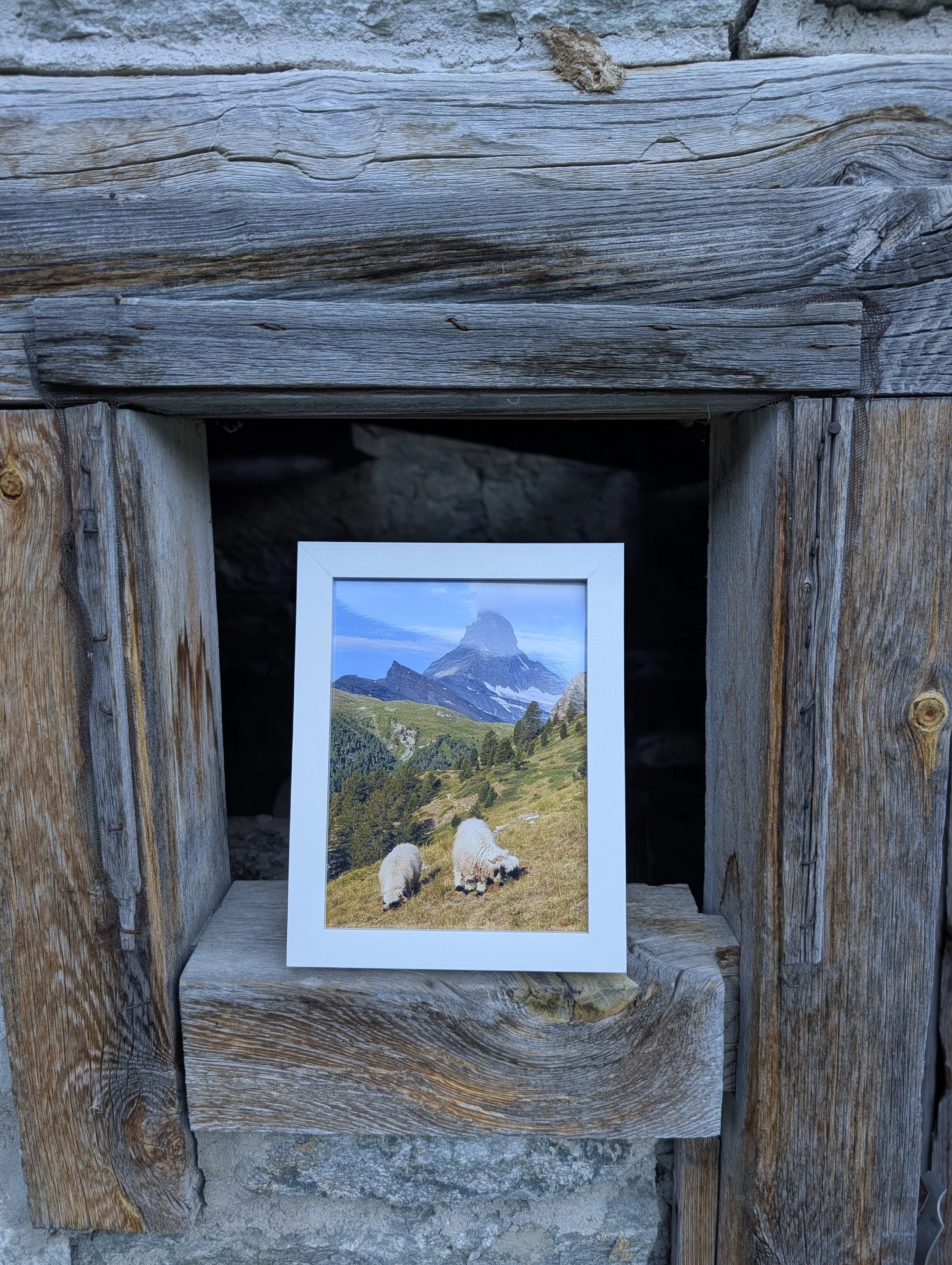 The Cutest Residents of Zermatt