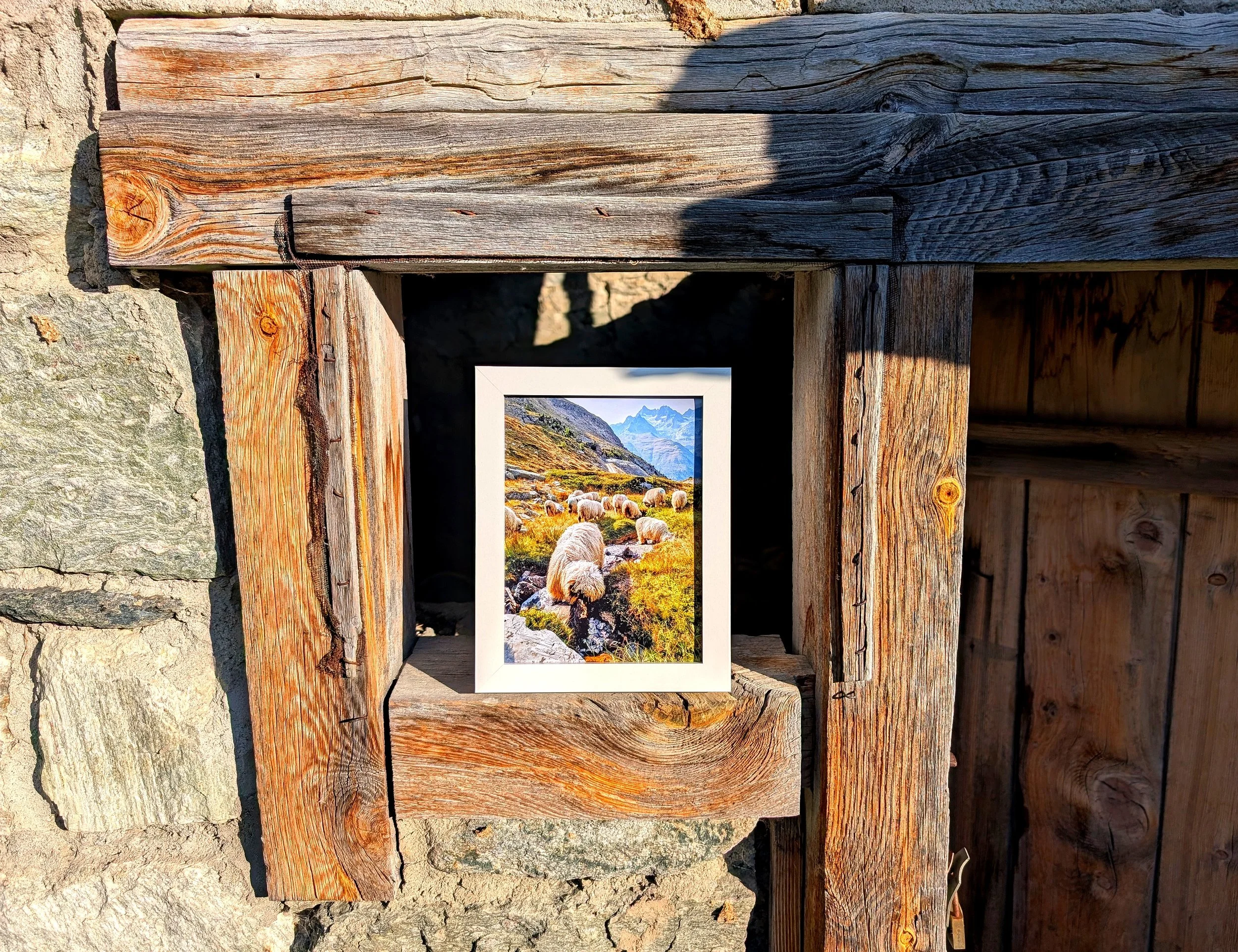 zermatt-light-flock-alps-portrait.jpg