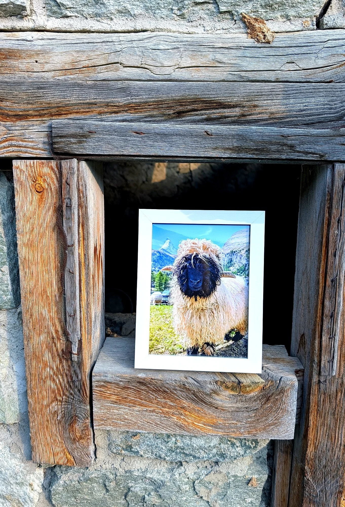 The Cutest Residents of Zermatt