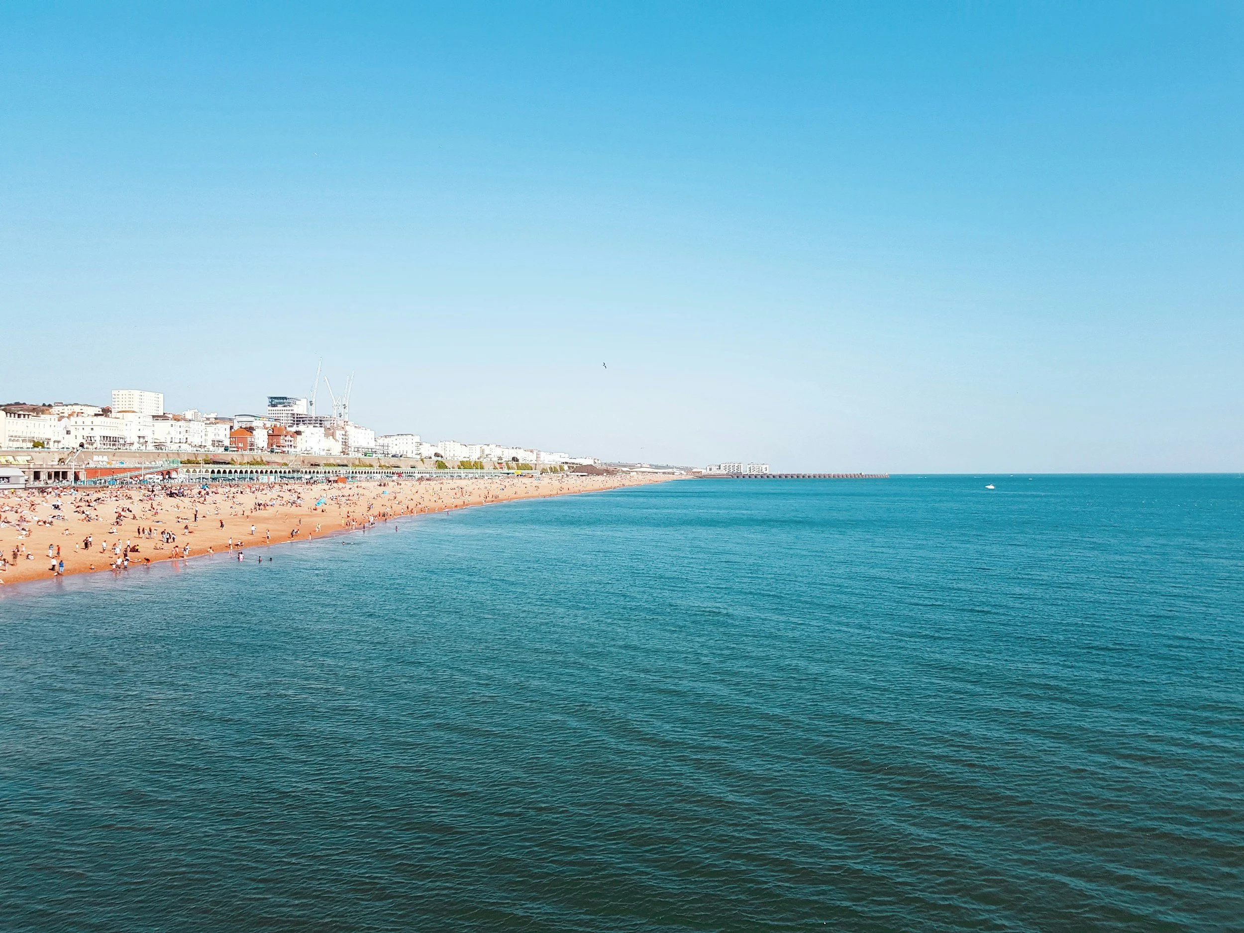 A clear blue sky over a beach with people sunbathing and swimming, and city buildings in the background.