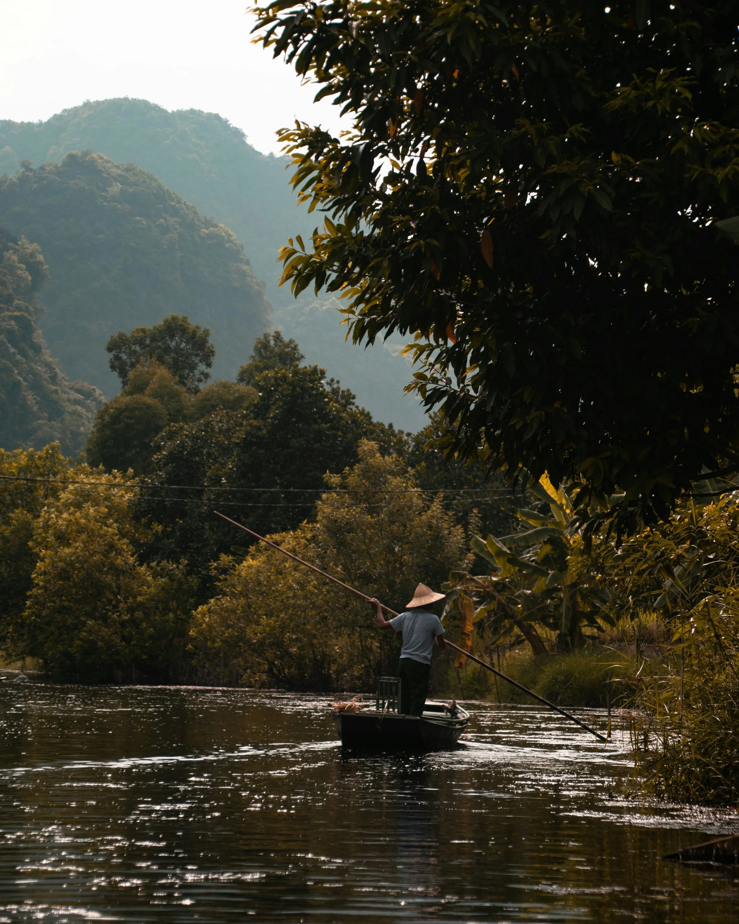 A person standing on a boat fishing in a river, surrounded by lush green trees and mountains in the background.