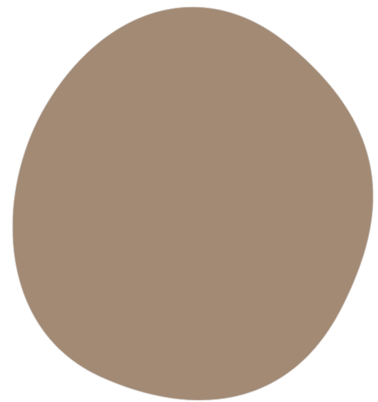 Close-up of a brown egg on a black background.