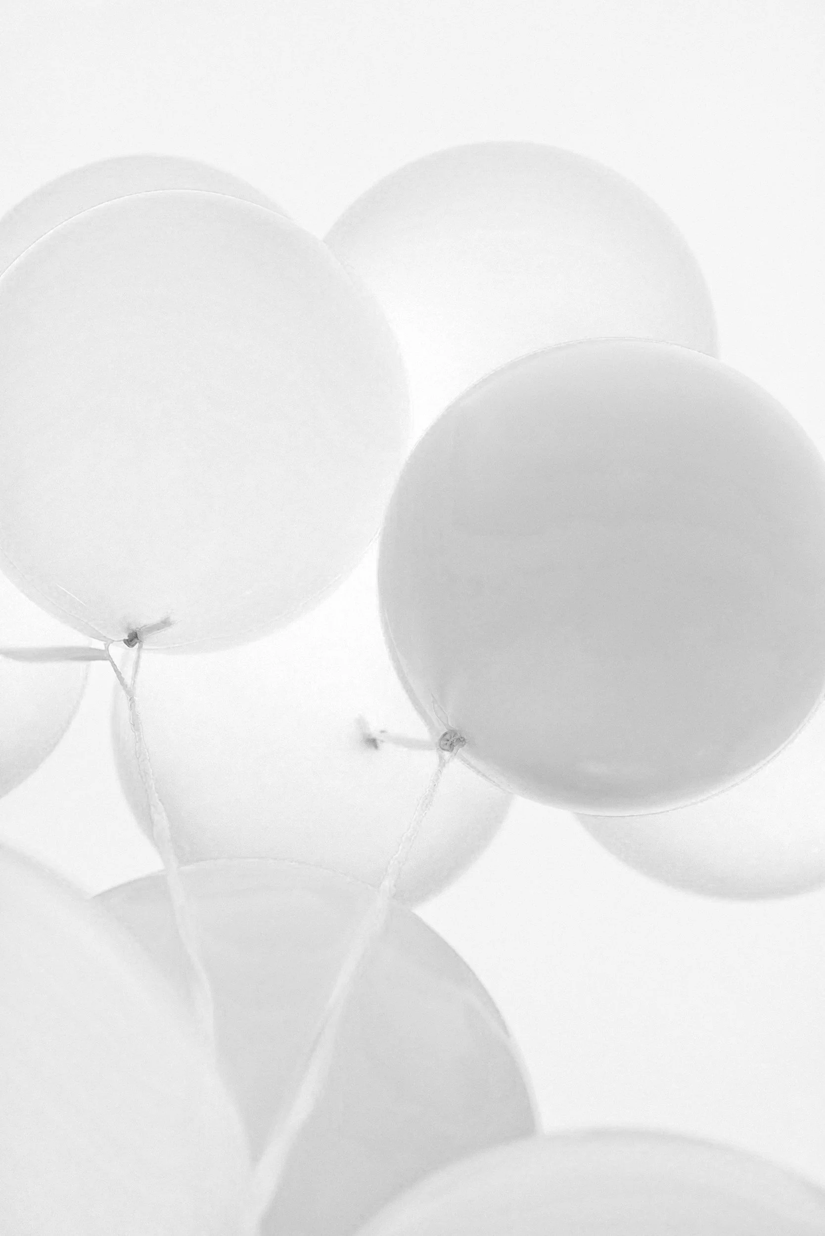Several white balloons floating on a white background.