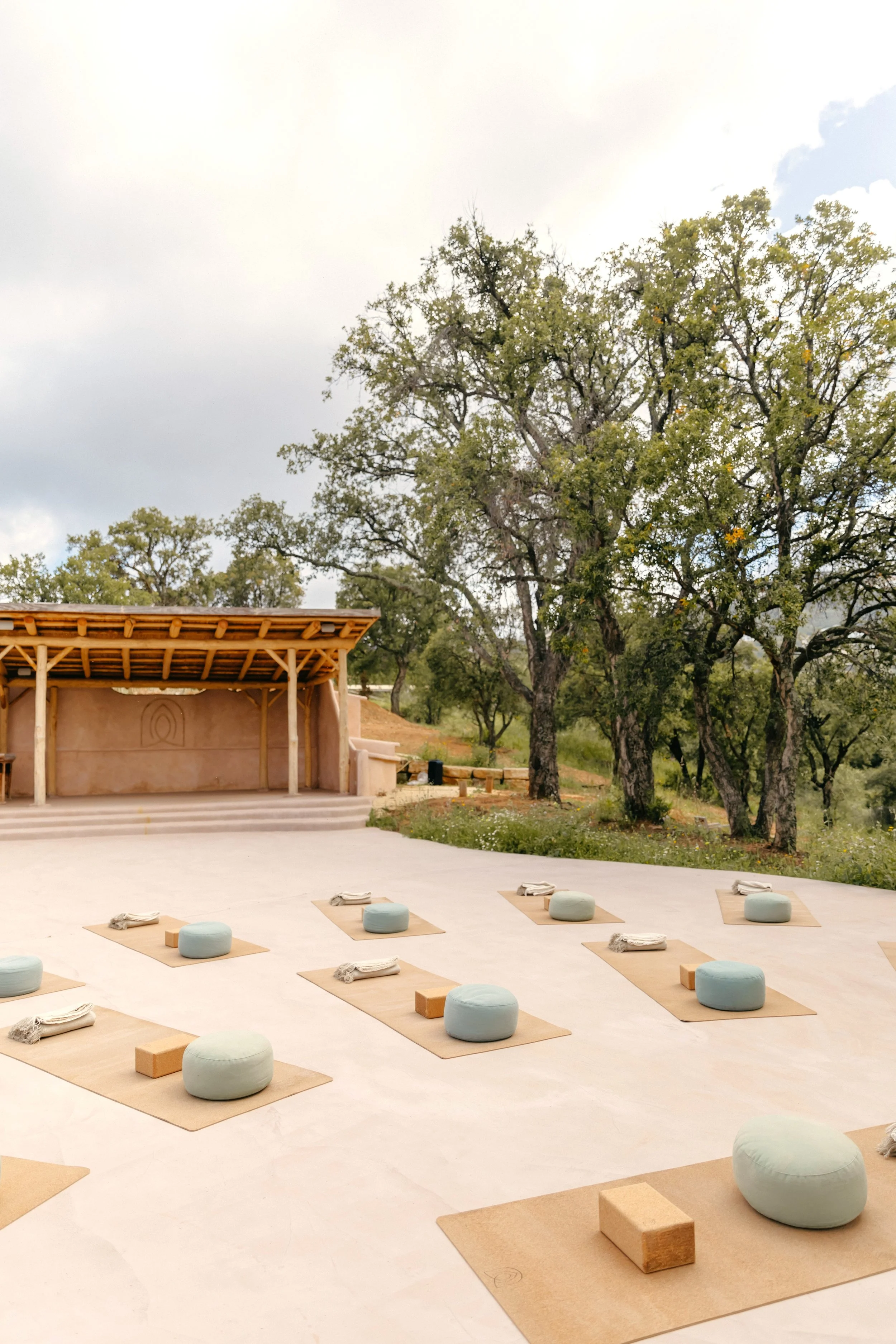 Yoga mats with cushions and props outdoors during daytime with trees and a wooden shelter.