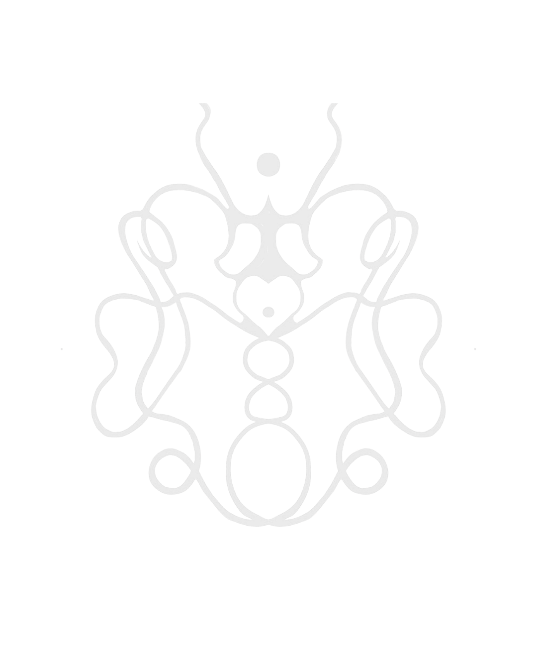 A symmetrical, abstract line drawing of a butterfly or insect on a black background.