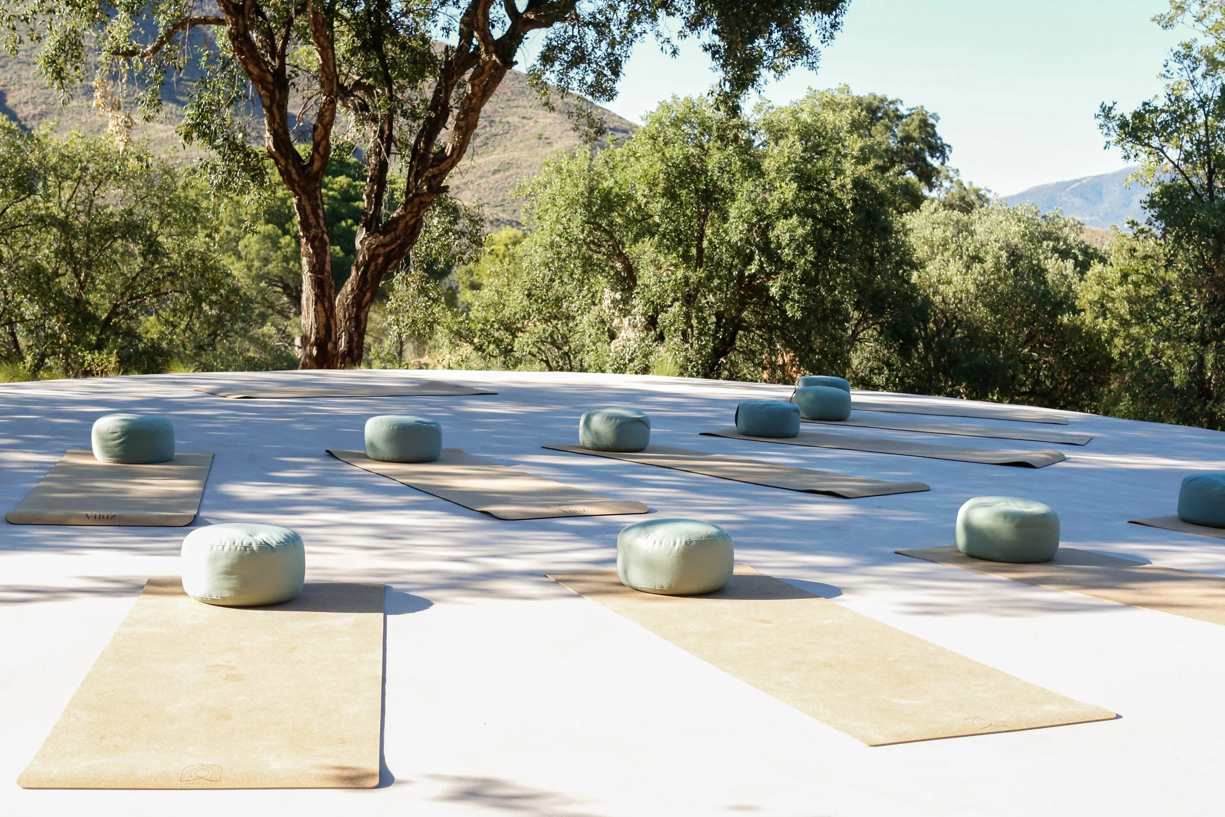Outdoor yoga setup with mats and cushions on a white surface, surrounded by trees with mountains in the background.