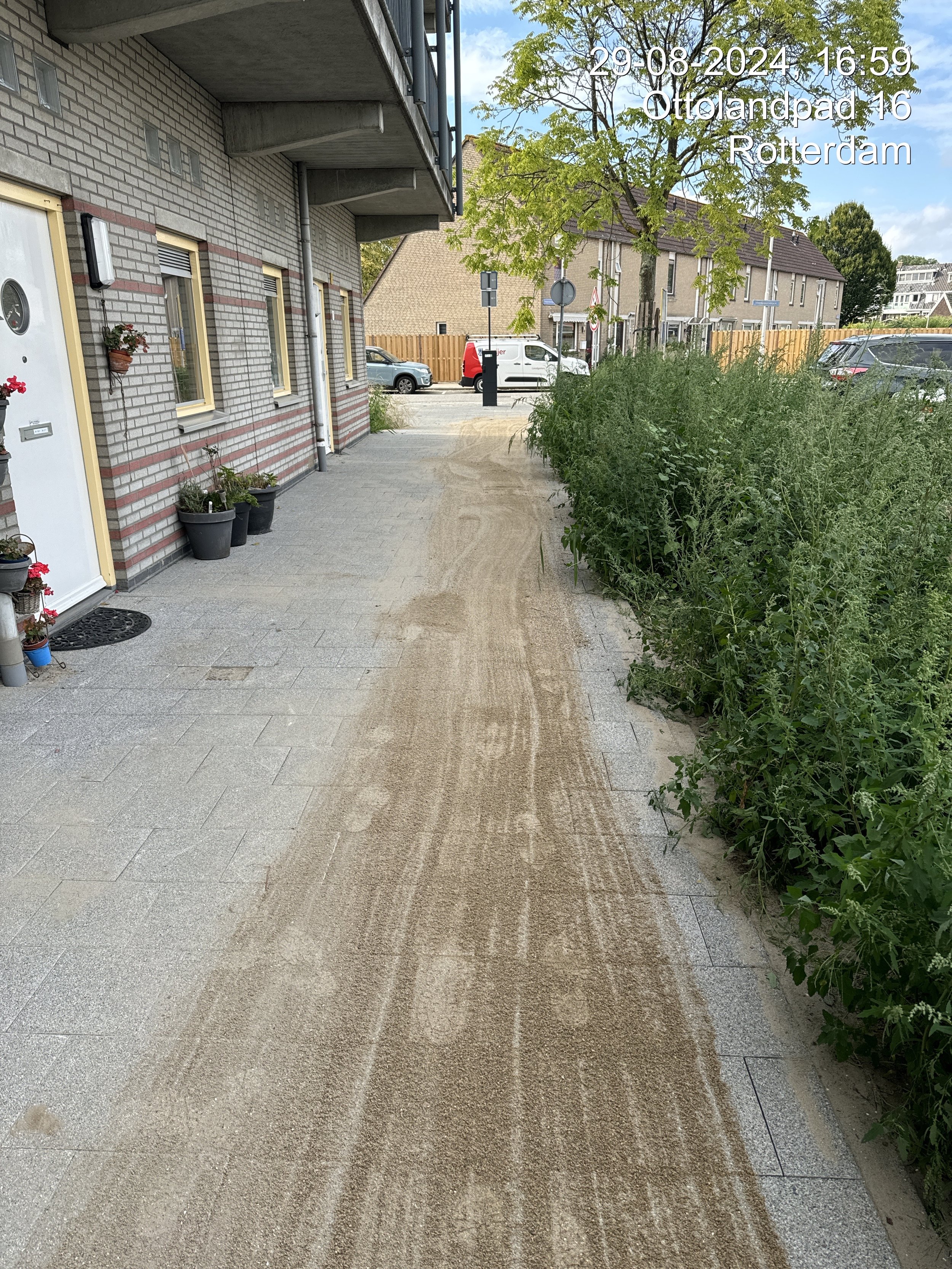 Apartment building with potted plants on the steps, a sidewalk with a dirt path, and parked cars along the street in Rotterdam.