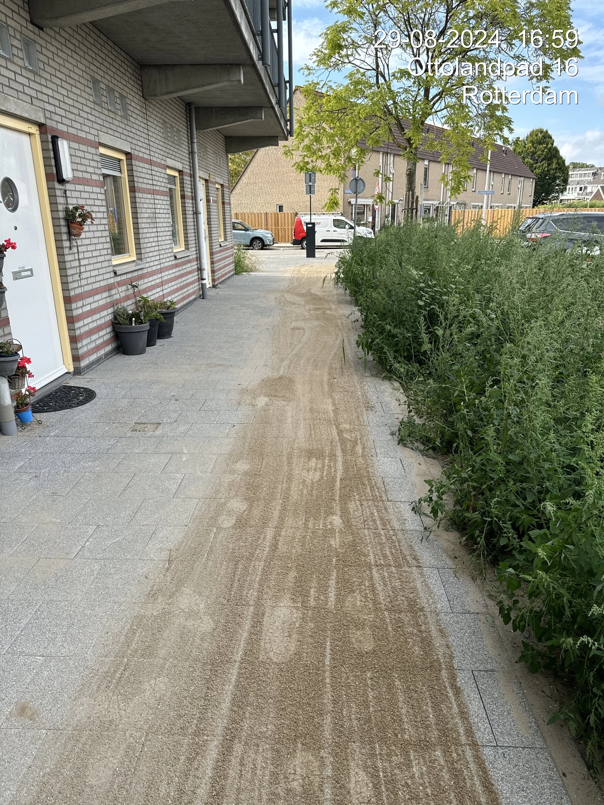 A sidewalk with fresh sand or dirt on it, adjacent to a building with windows and potted plants, and a grassy area with bushes on the right side. In the background, there are parked cars, a wooden fence, trees, and residential buildings, with a clear sky.