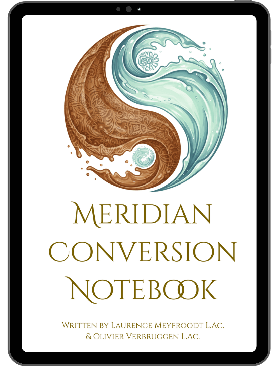 Cover of a book titled 'Meridian Conversion: Balance Method Notebook' with a yin-yang symbol made of water and fire on the screen of a tablet, written by Laurence Meyfroodt and Verbruggen Olivier  L.A.C.