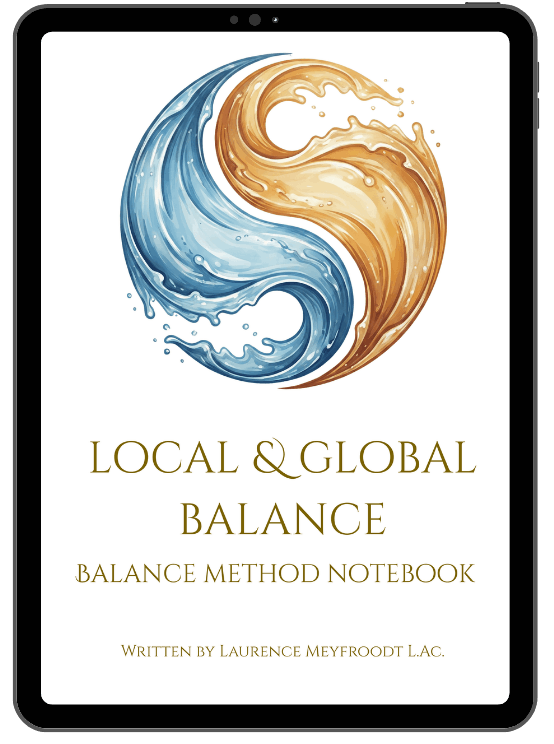 Cover of a book titled 'Local & Global Balance: Balance Method Notebook' with a yin-yang symbol made of water and fire on the screen of a tablet, written by Laurence Meyfroodt and Verbruggen Olivier  L.A.C.
